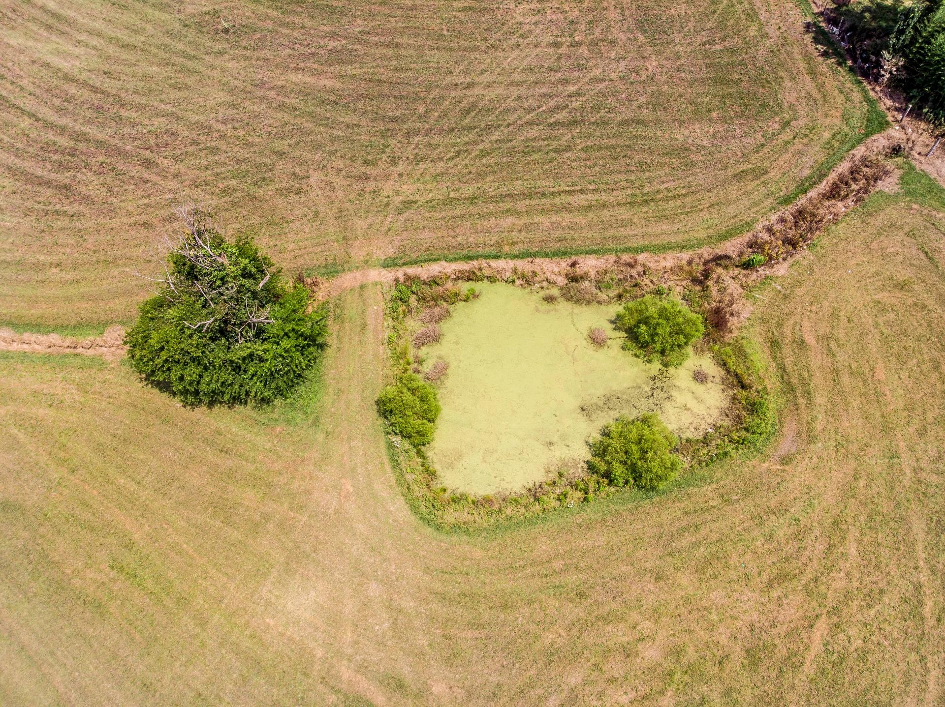0 Lawing Road Chuckey, TN 37641 - Photo 23 of 54 625LawingC_021