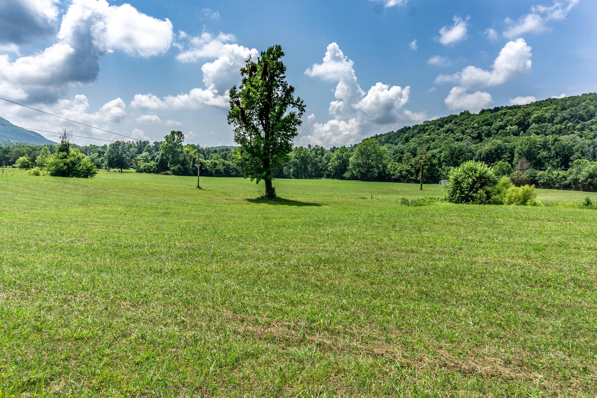 0 Lawing Road Chuckey, TN 37641 - Photo 41 of 54 625LawingC_045