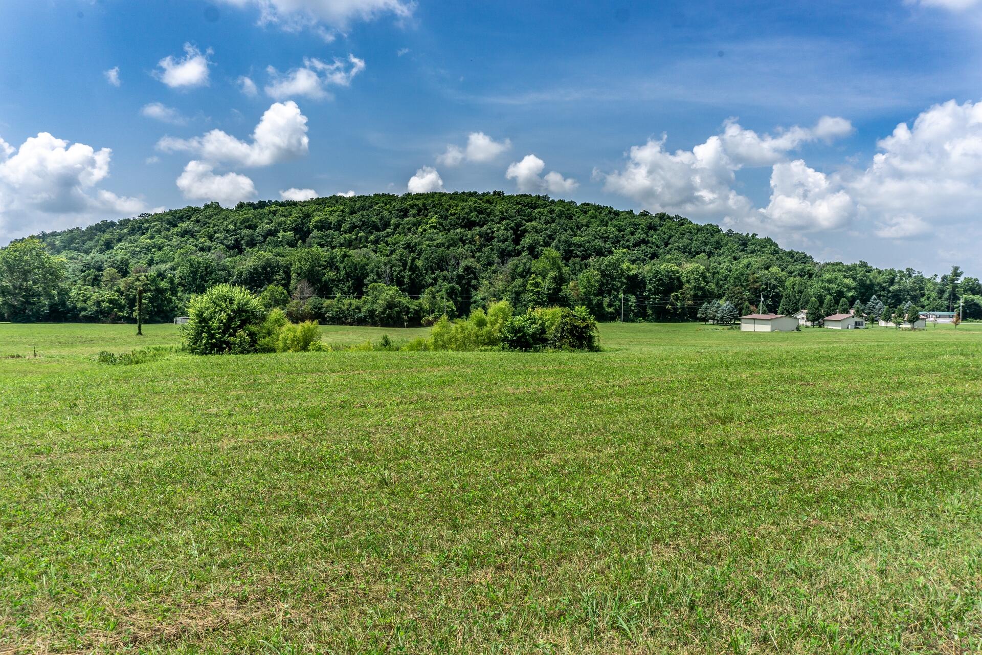 0 Lawing Road Chuckey, TN 37641 - Photo 42 of 54 625LawingC_046