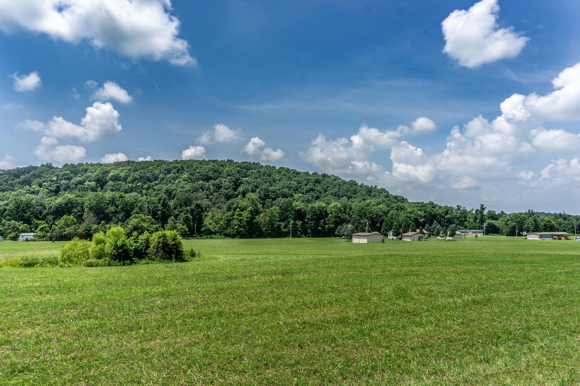 0 Lawing Road Chuckey, TN 37641 - Photo 45 of 54 625LawingC_051