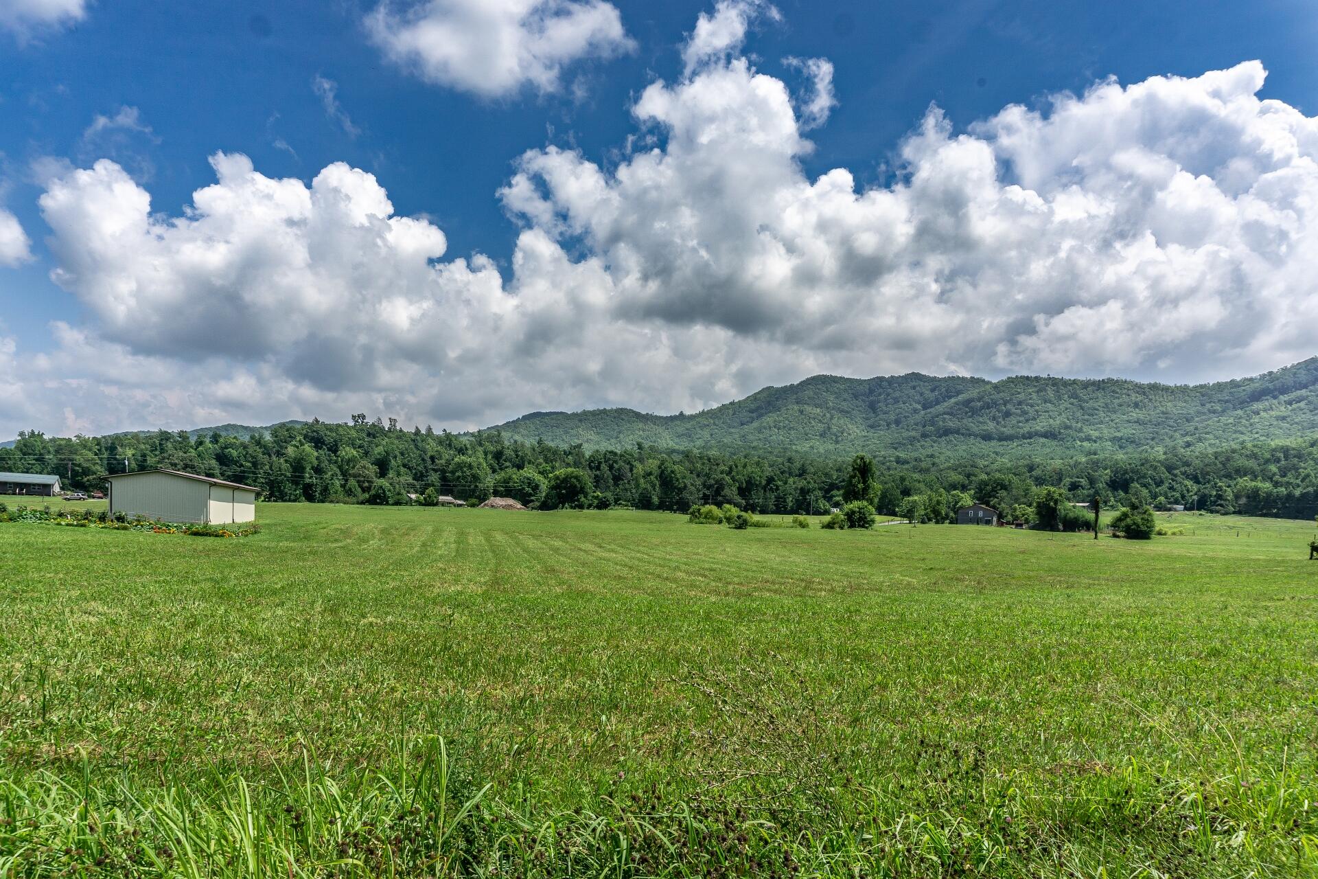 0 Lawing Road Chuckey, TN 37641 - Photo 52 of 54 625LawingC_058