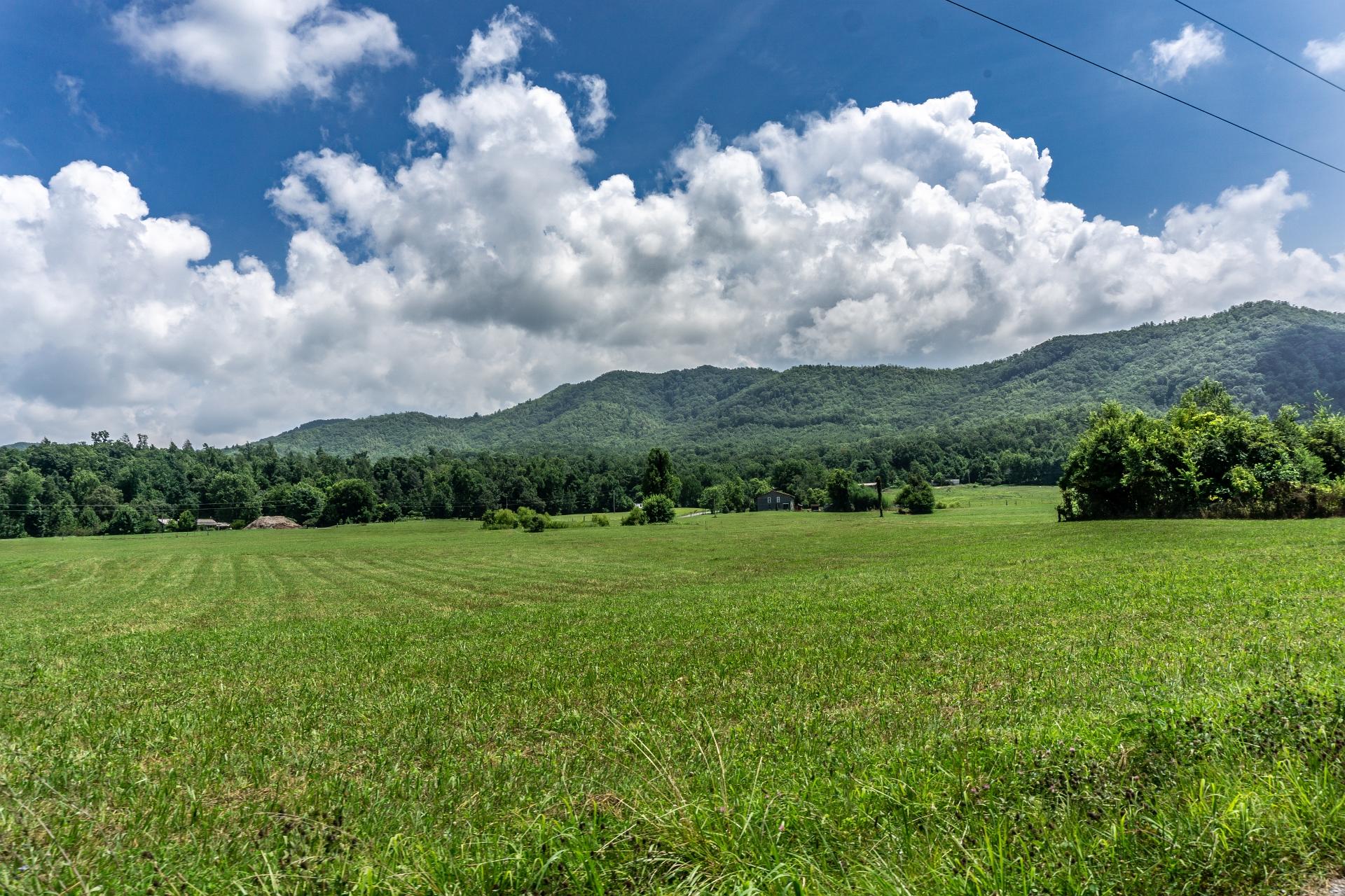 0 Lawing Road Chuckey, TN 37641 - Photo 53 of 54 625LawingC_059