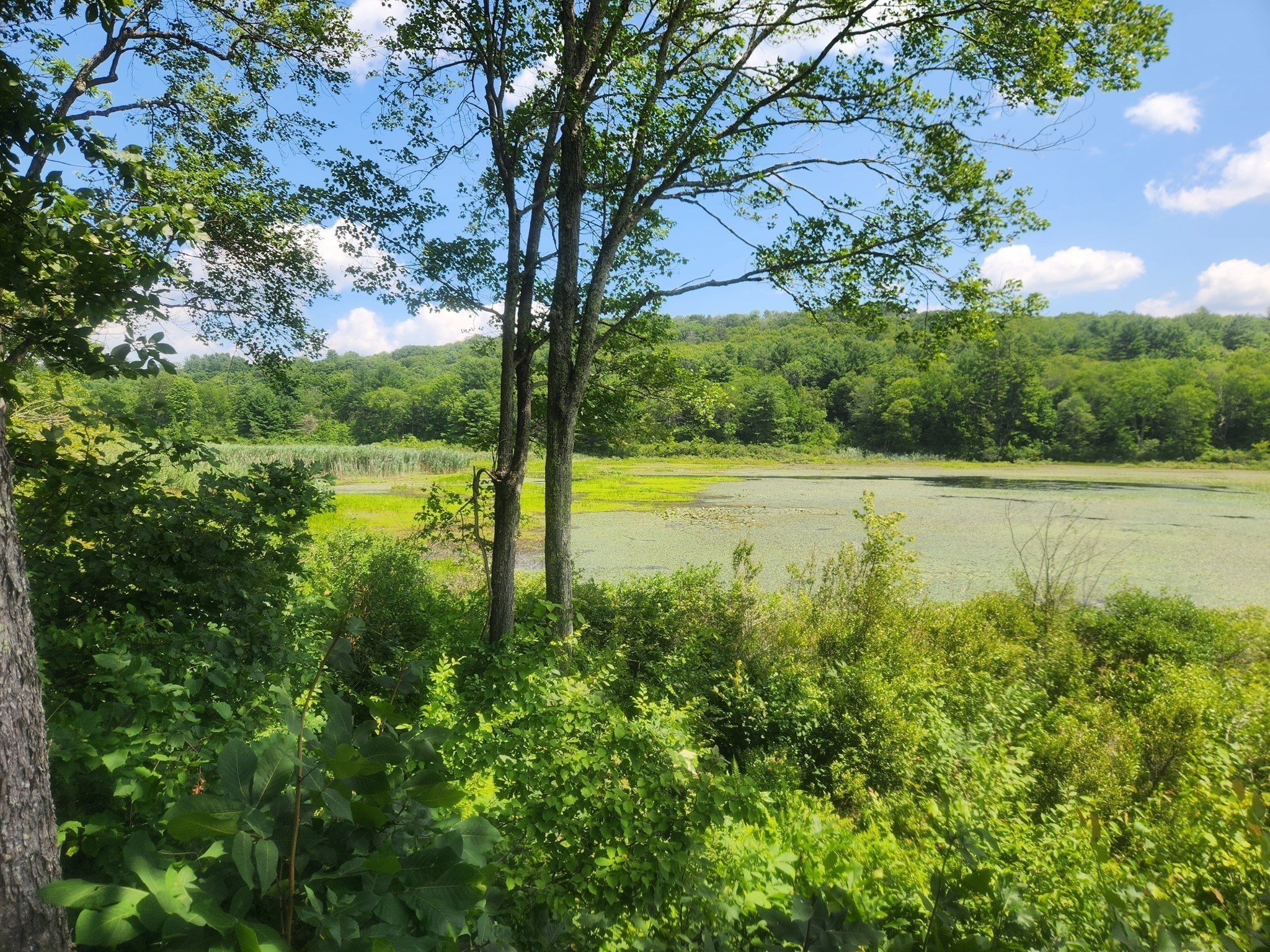 Lot 7 Delargy Road Hardwick, MA 01037 - Photo 21 of 21 Gallery Image 21