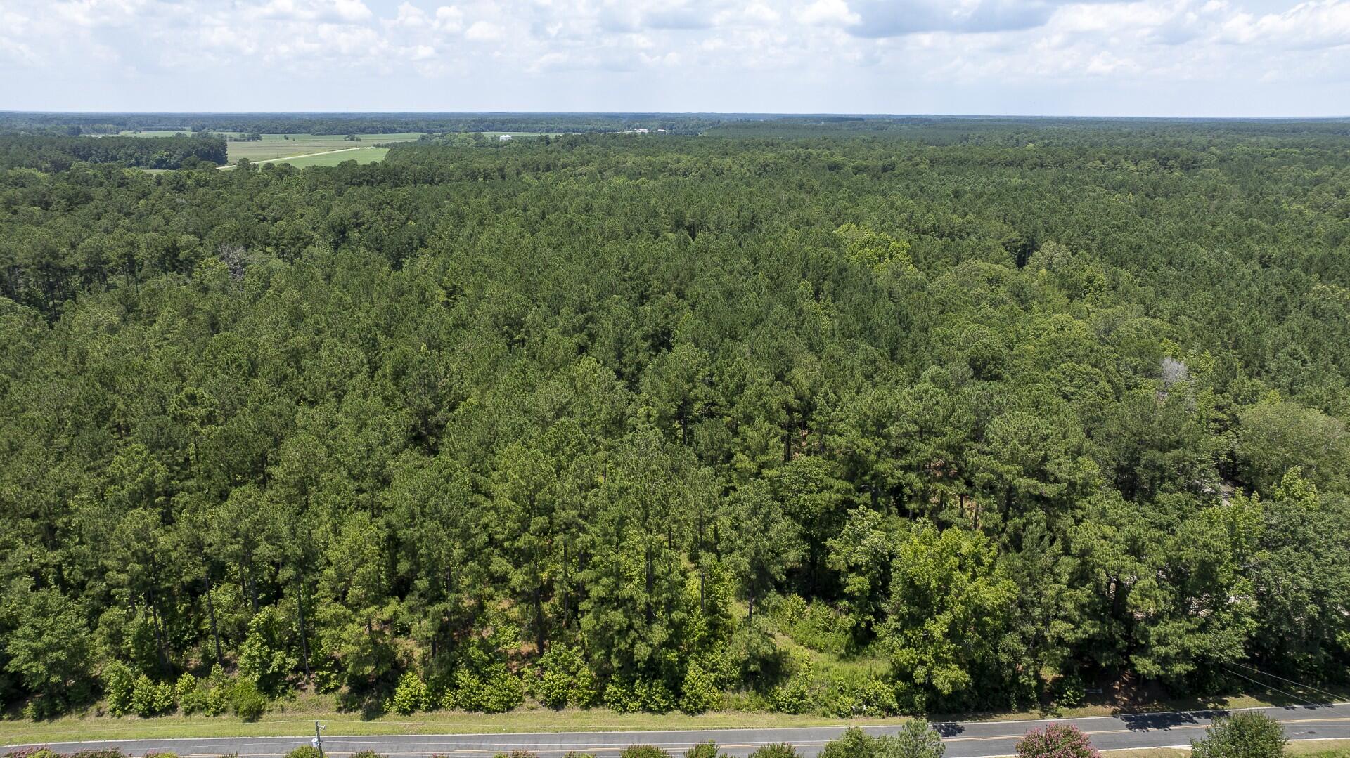 0 Toney Bay Road, Unit 3 Holly Hill, SC 29059 - Photo 22 of 36 Toney Bay-22