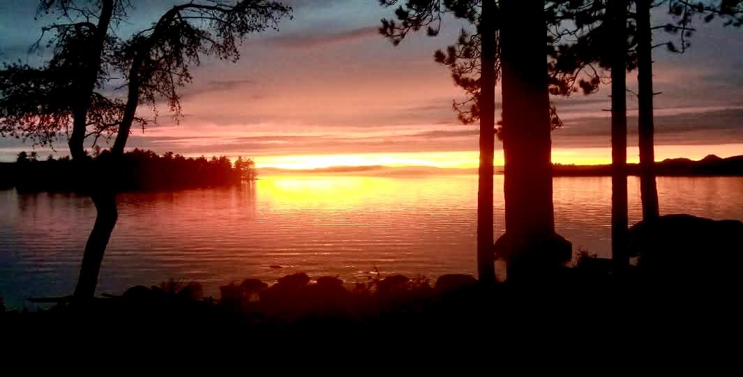 P1010 Plan 03 Road Millinocket, ME 04462 - Photo 3 of 47 att.1jSVq1y3yAPBt4DCNOu9E_prafXVNSKz6FD9