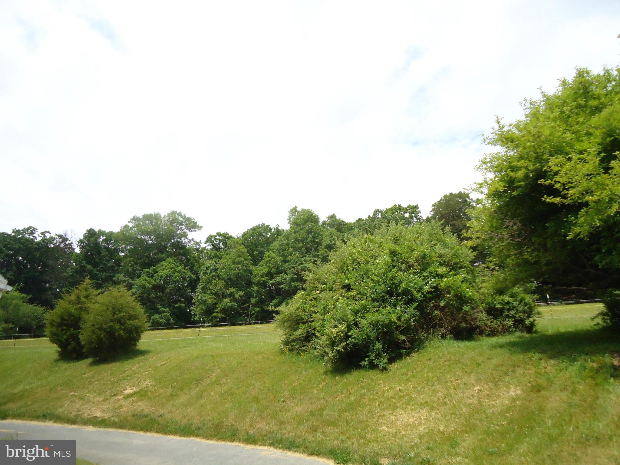 17411 Conoy Road Barnesville, MD 20838 - Photo 14 of 17 a view of a grassy area with an trees