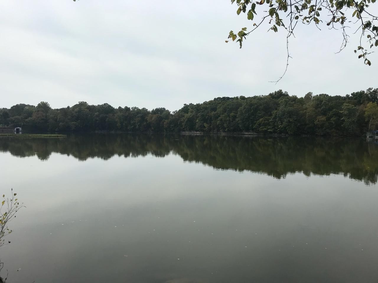 5 Flippen Road Lebanon, TN 37087 - Photo 1 of 9 a view of lake