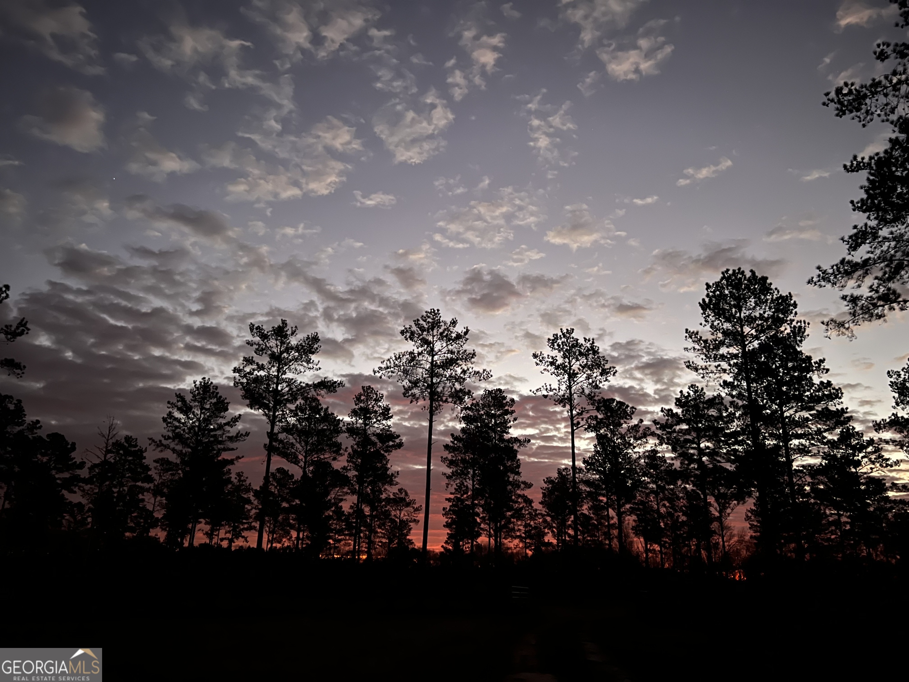 335 Highway 26 Elko, GA 31025 - Photo 1 of 1