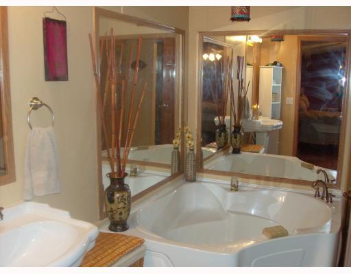 1064 Two Lick Hl Road Clymer, PA 15728 - Photo 6 of 10 Master Bath/Spa.