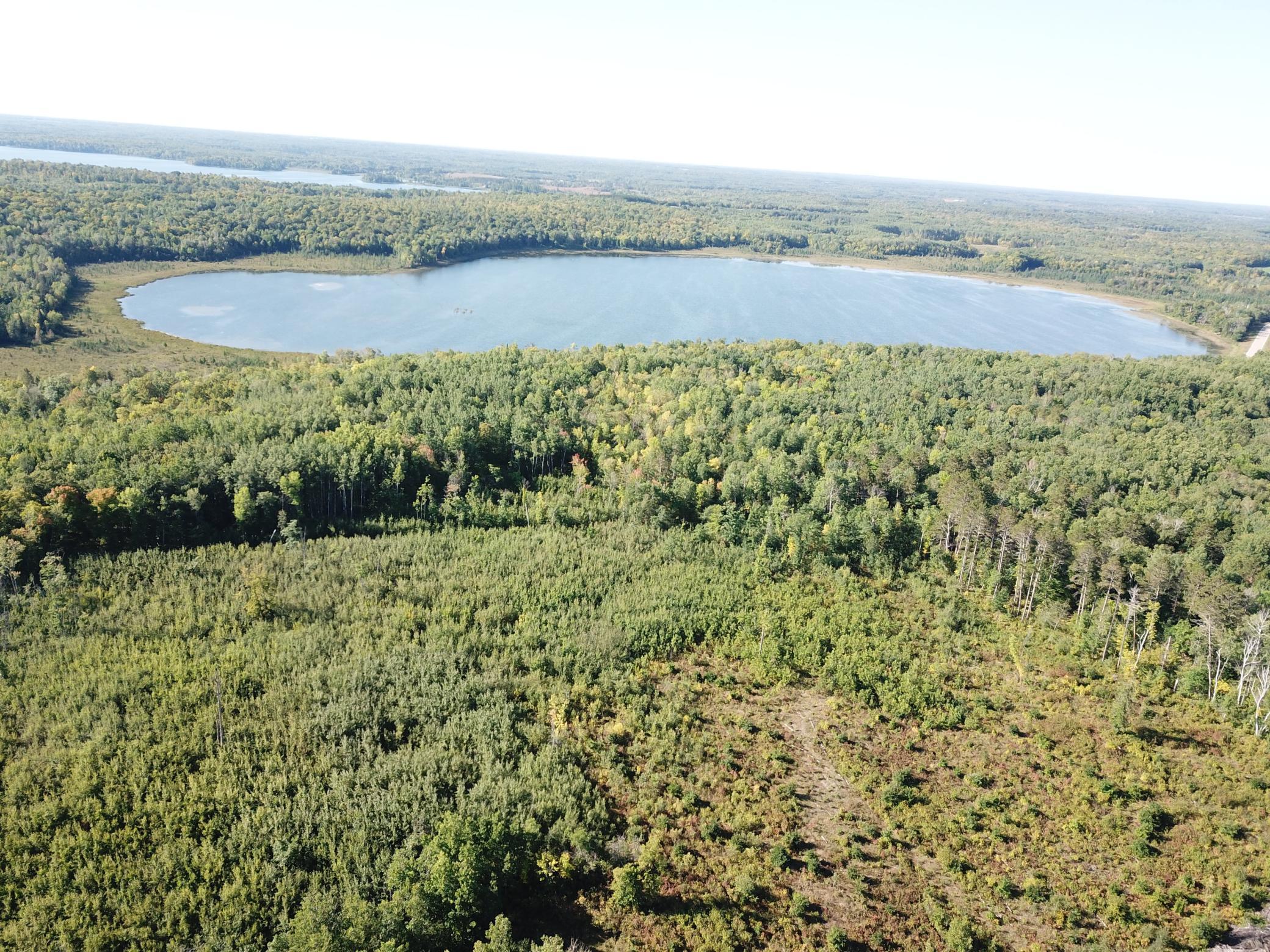 Tbd Lumberjack Road Northwest Leonard, MN 56652 - Photo 20 of 51 Gallery Image 20