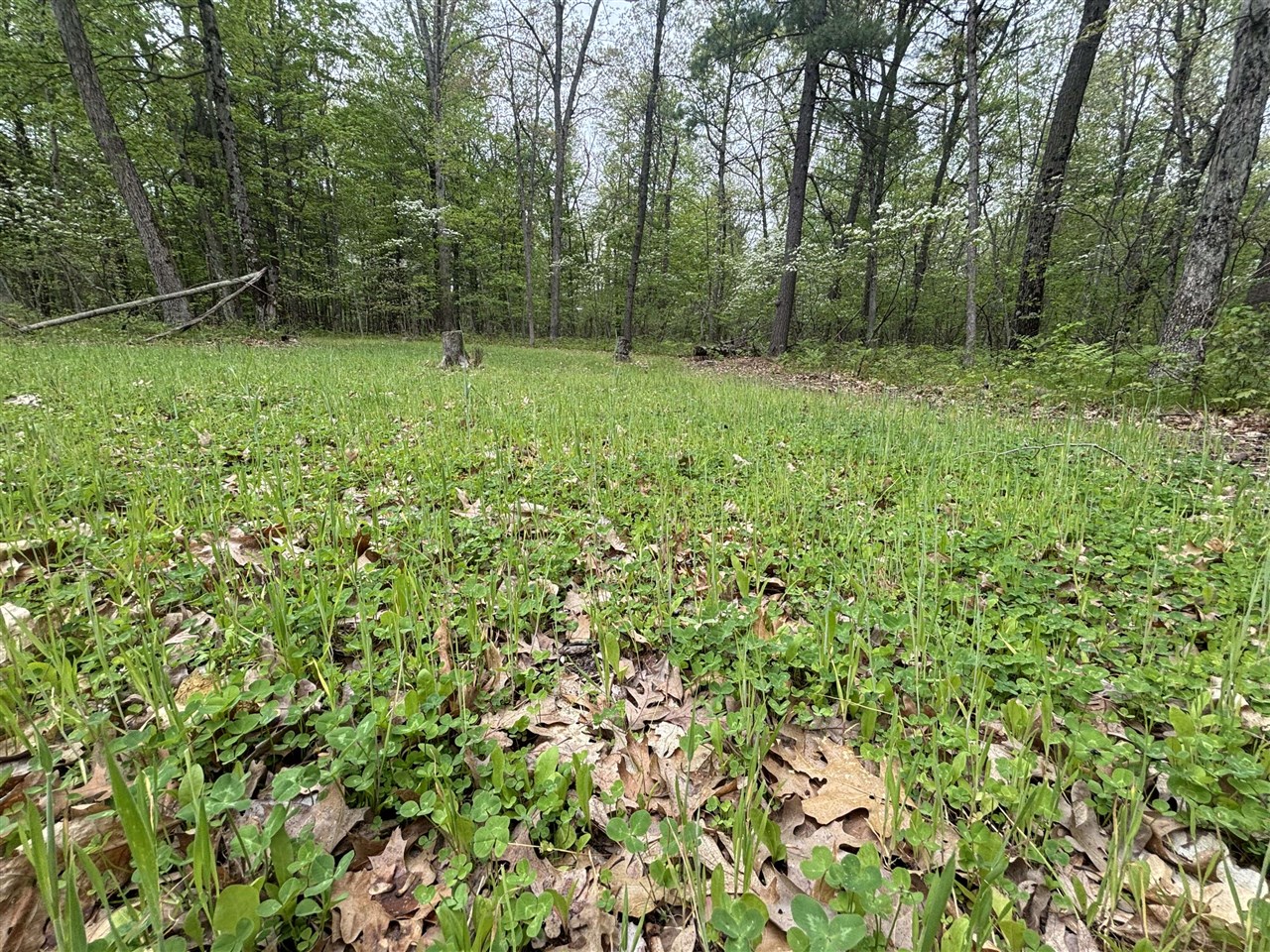 12.19 Rapp Drive Twin Lake, MI 49457 - Photo 28 of 48