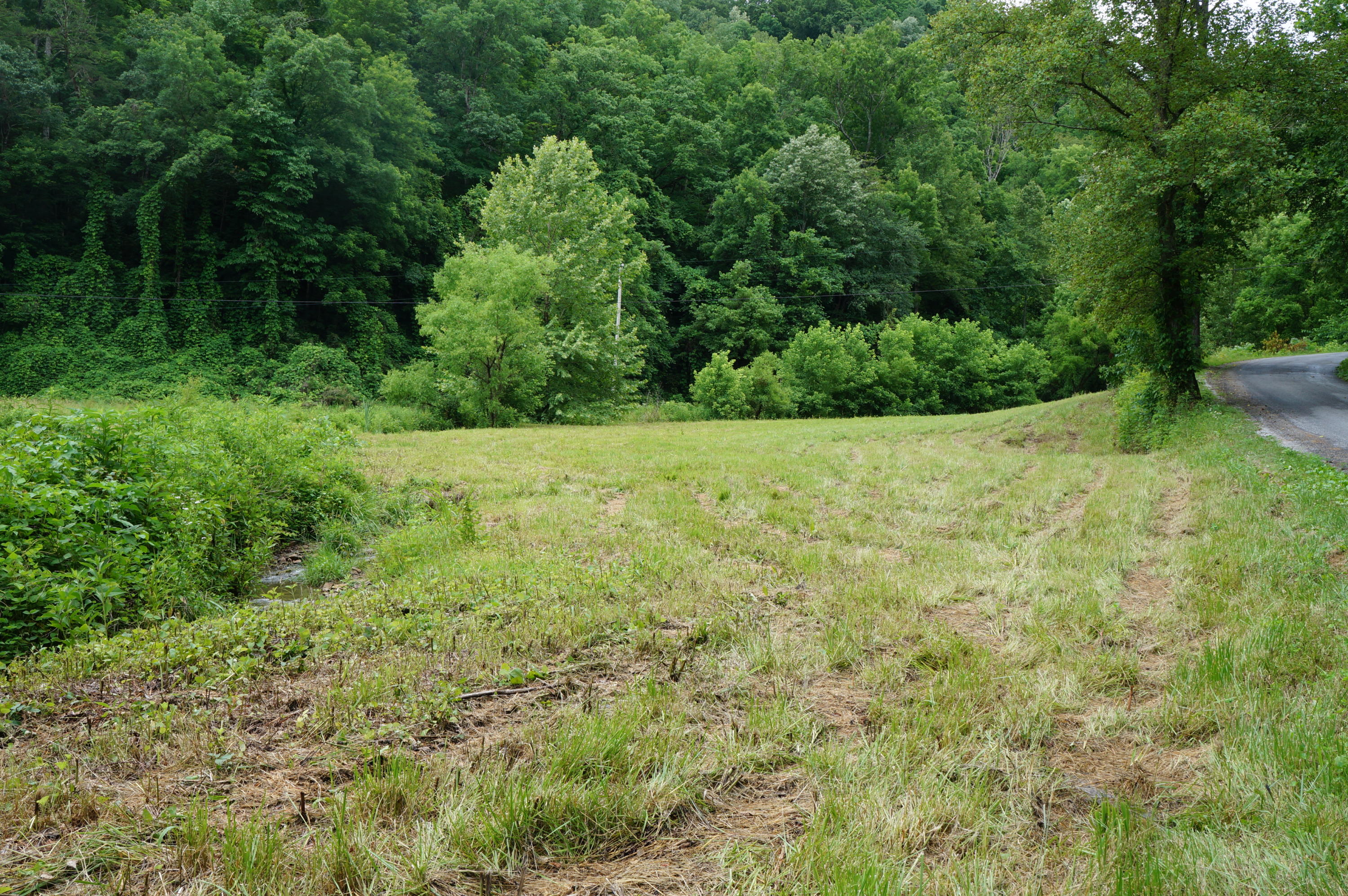 1079 Lower Caney Valley Road Tazewell, TN 37879 - Photo 2 of 17 DSC09257