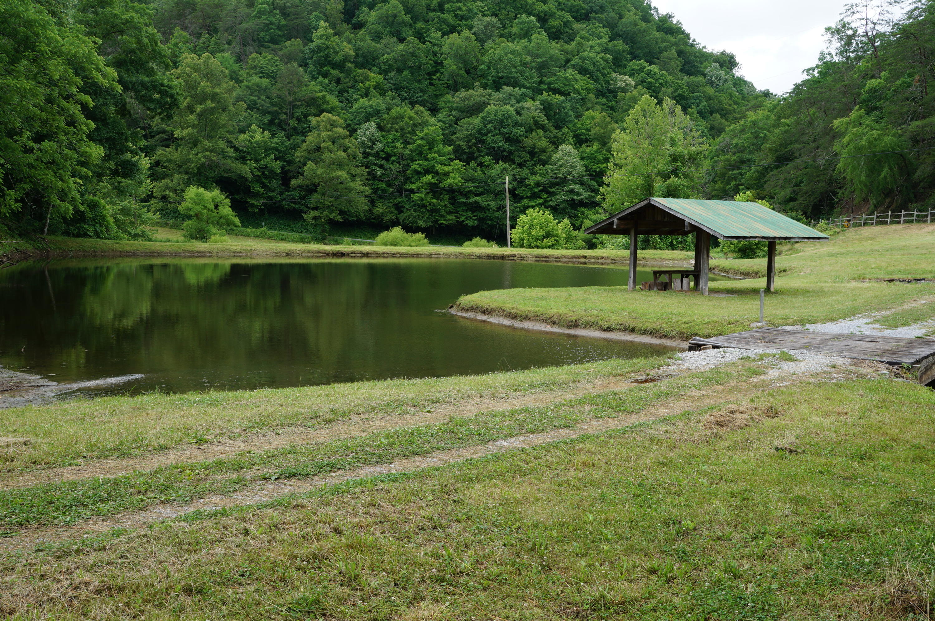 1079 Lower Caney Valley Road Tazewell, TN 37879 - Photo 11 of 17 DSC09266