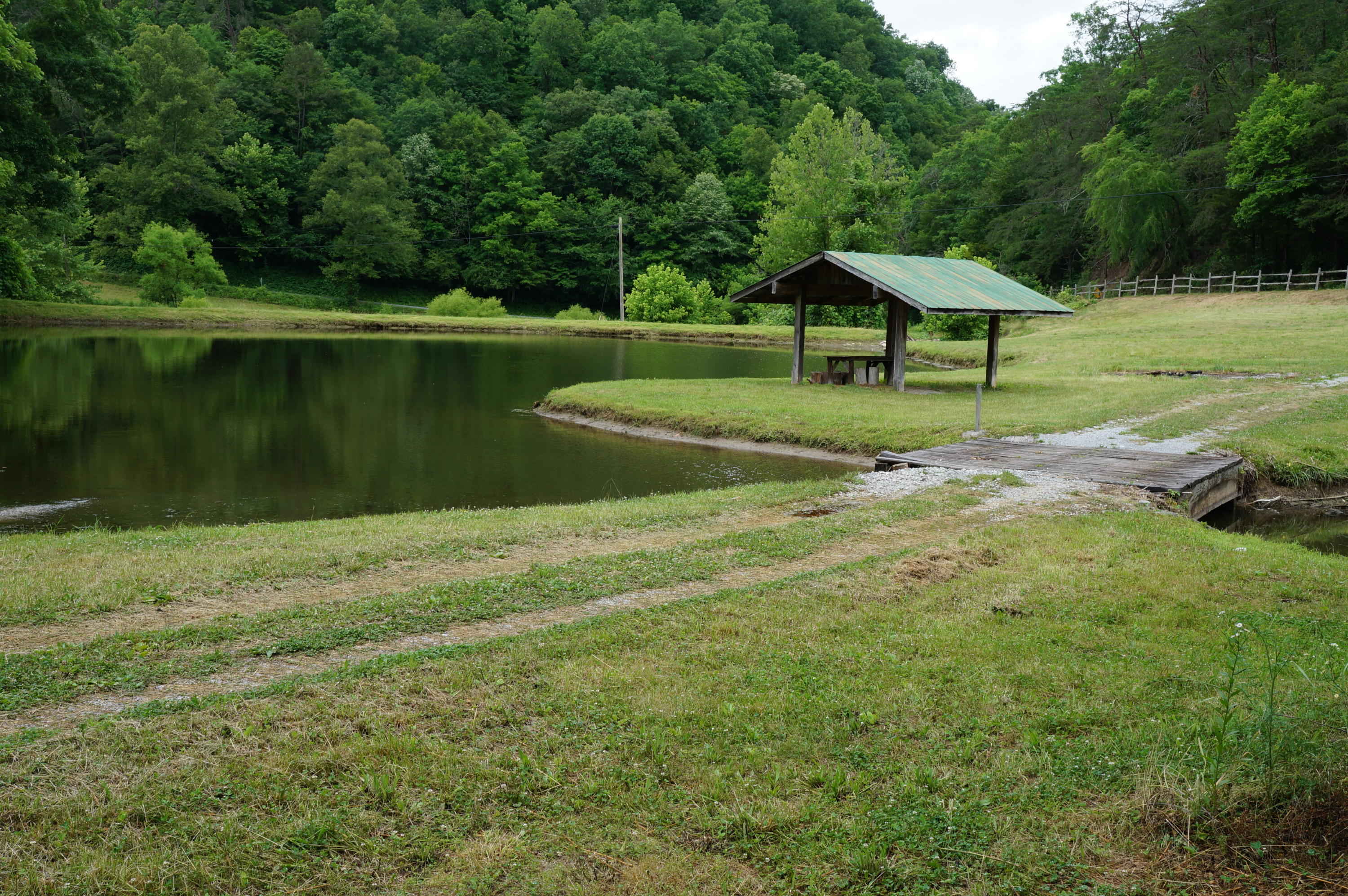 1079 Lower Caney Valley Road Tazewell, TN 37879 - Photo 12 of 17 DSC09267