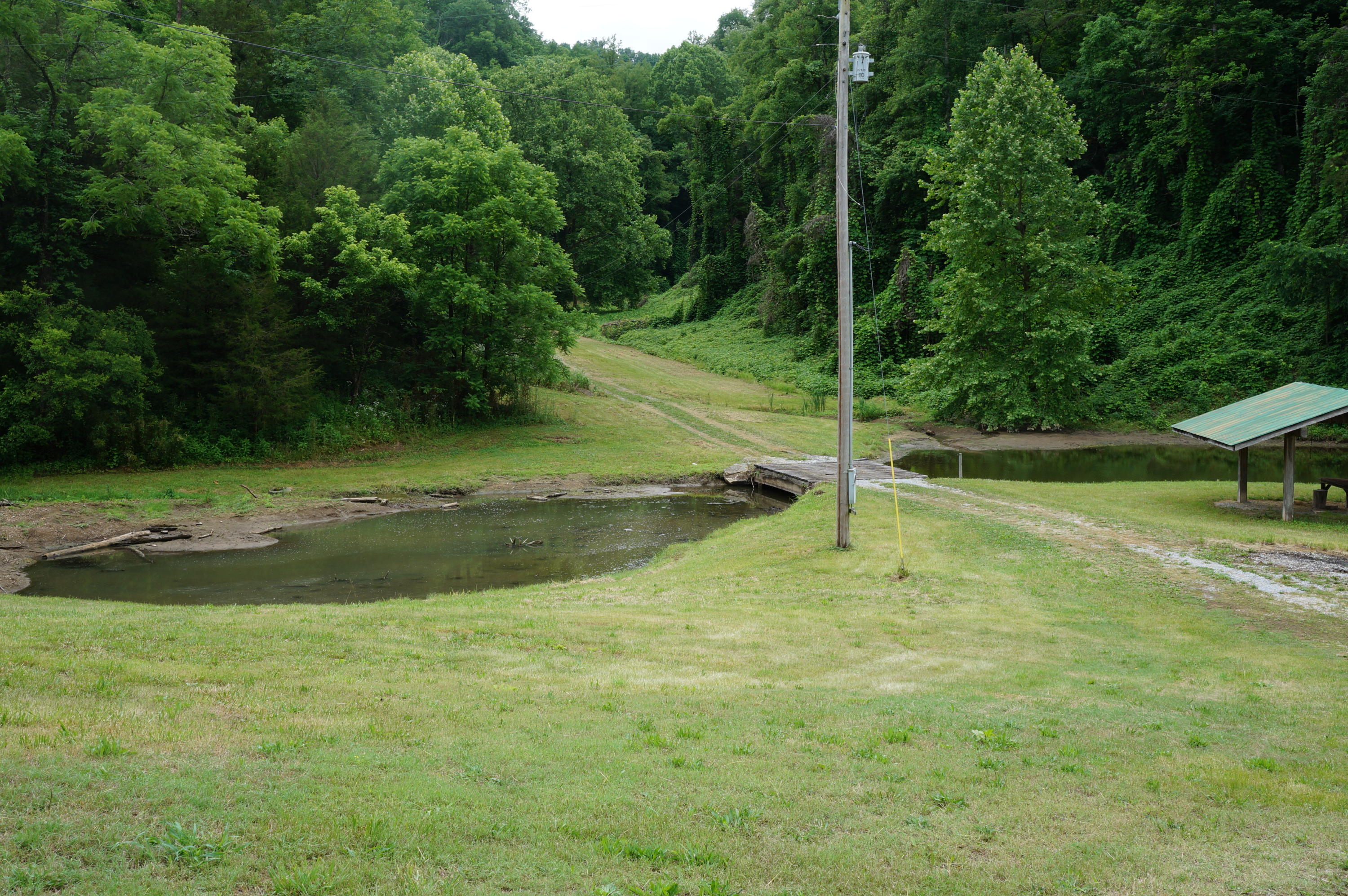 1079 Lower Caney Valley Road Tazewell, TN 37879 - Photo 13 of 17 DSC09268