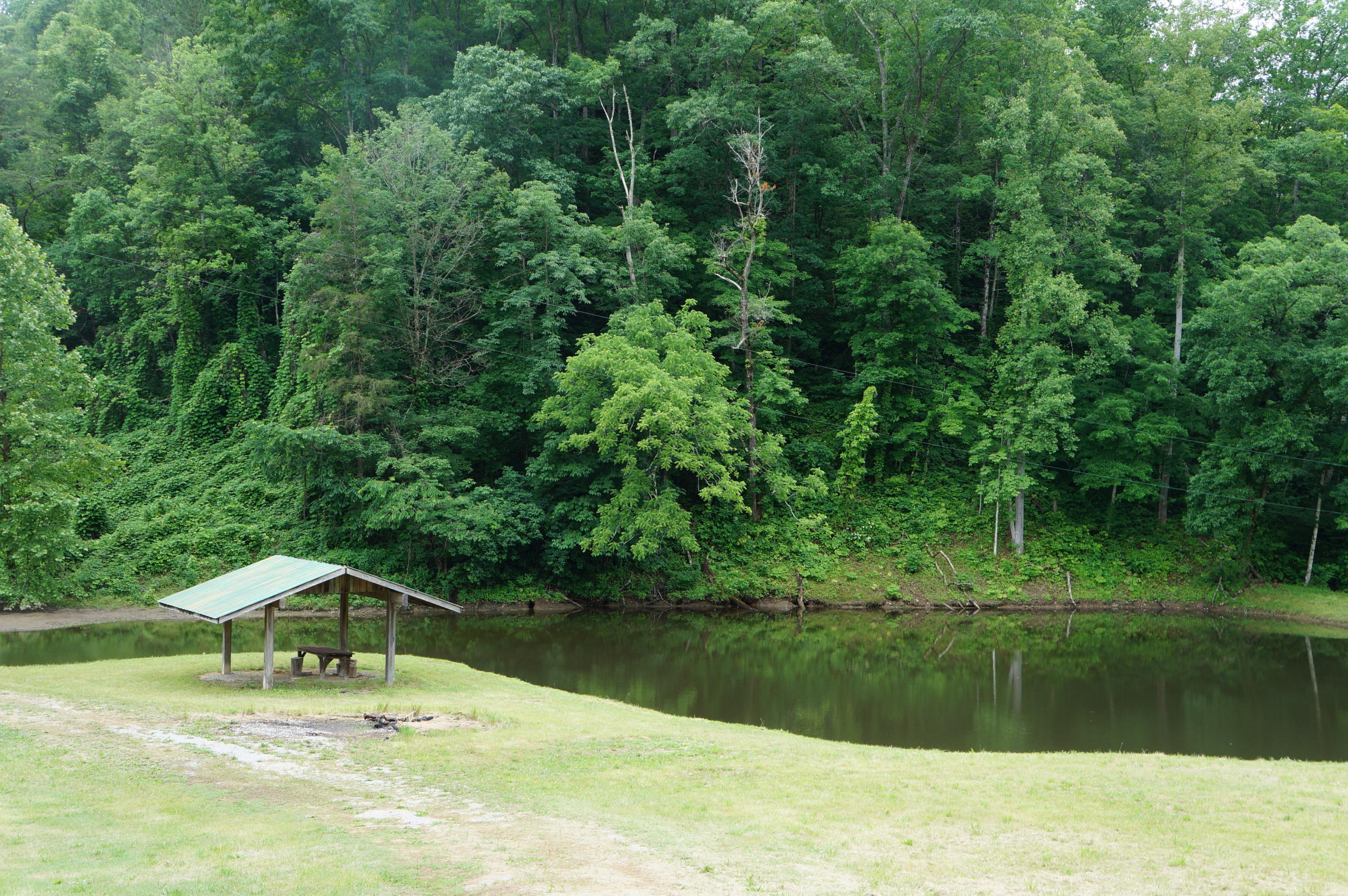 1079 Lower Caney Valley Road Tazewell, TN 37879 - Photo 14 of 17 DSC09269