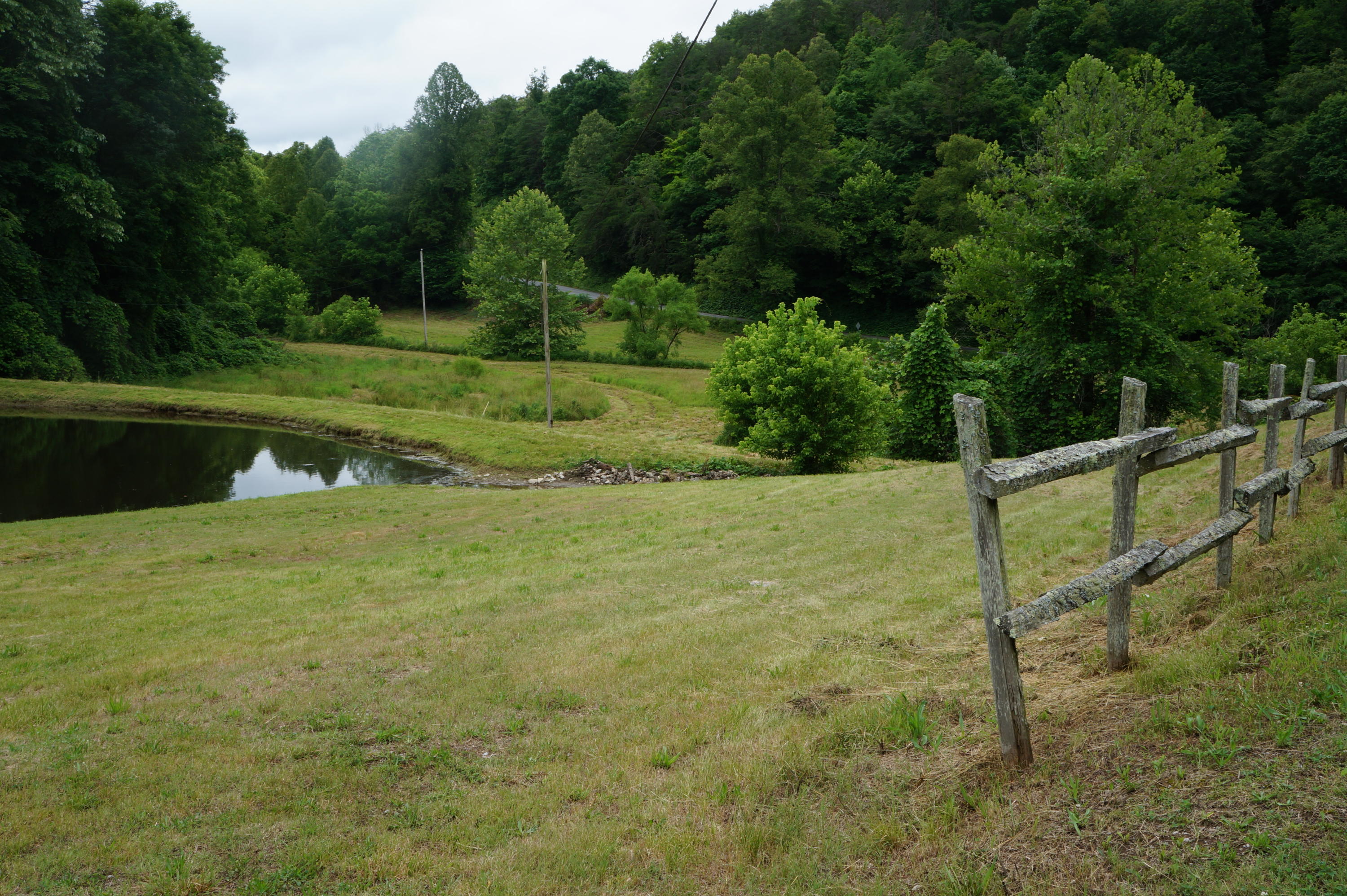 1079 Lower Caney Valley Road Tazewell, TN 37879 - Photo 15 of 17 DSC09270