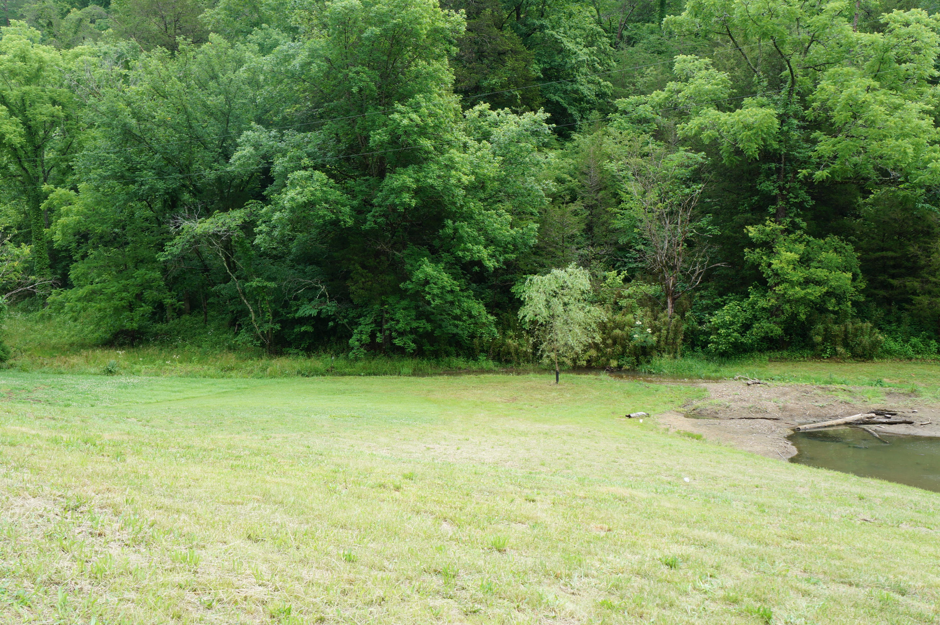 1079 Lower Caney Valley Road Tazewell, TN 37879 - Photo 16 of 17 DSC09271