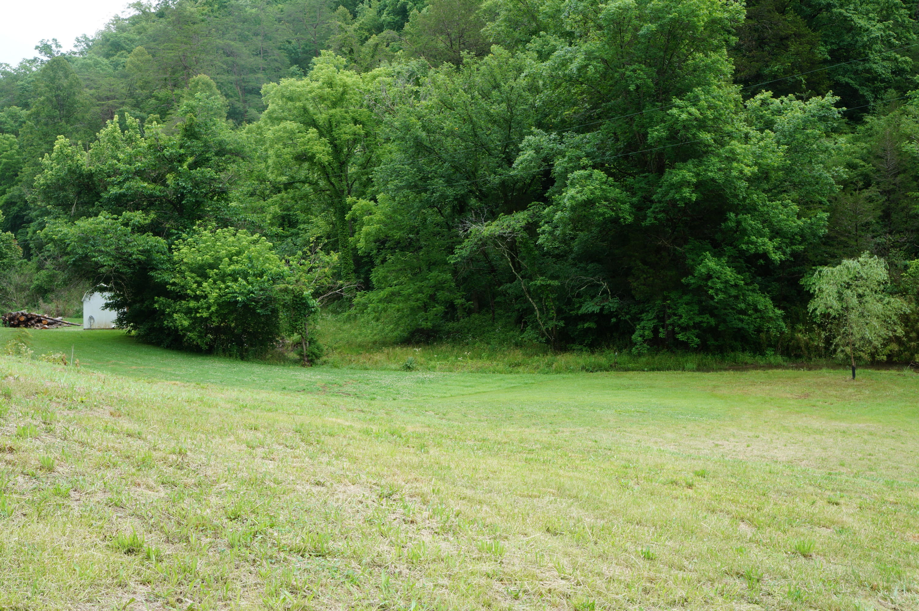 1079 Lower Caney Valley Road Tazewell, TN 37879 - Photo 17 of 17 DSC09272