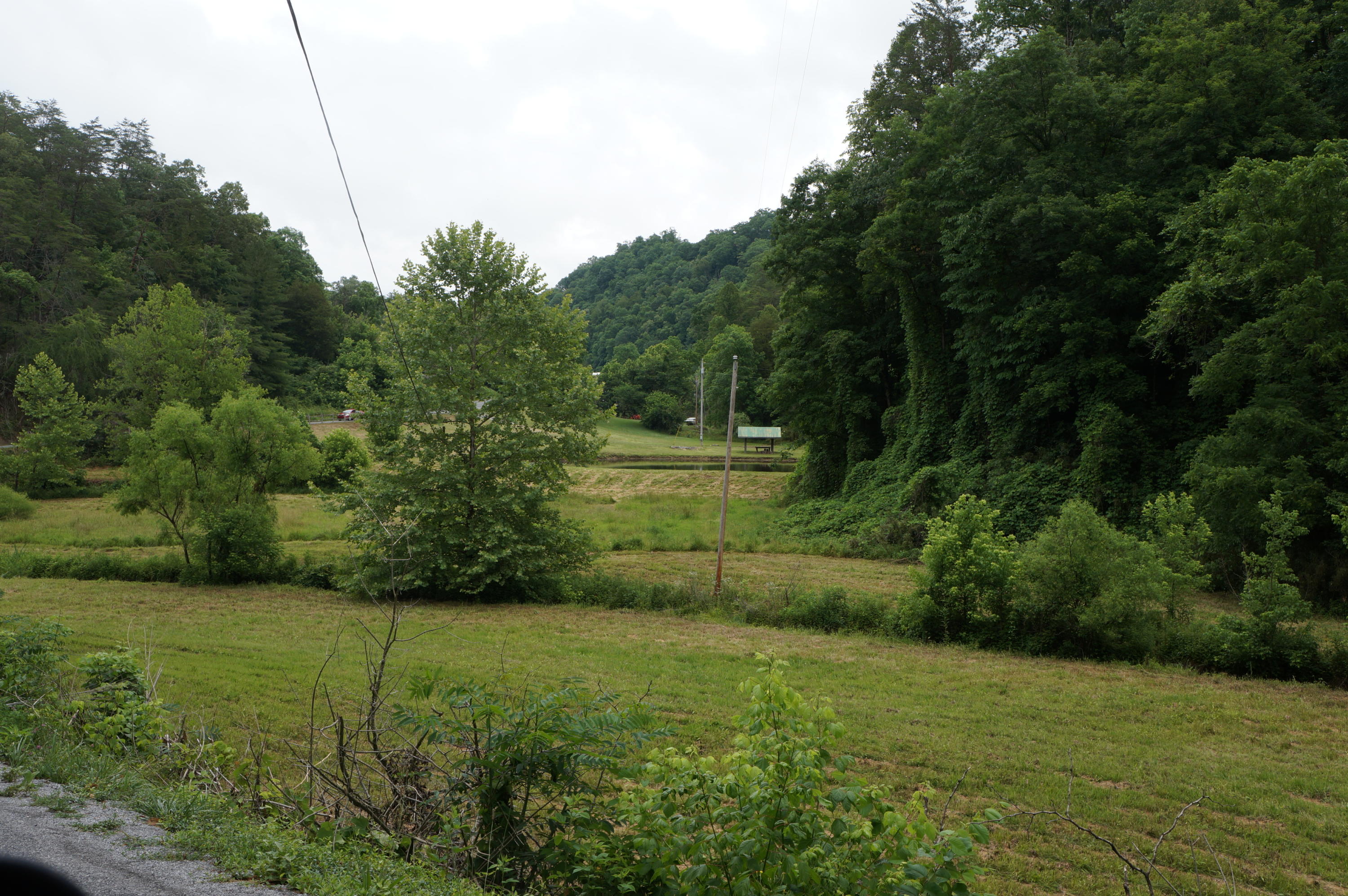 1079 Lower Caney Valley Road Tazewell, TN 37879 - Photo 5 of 17 DSC09260