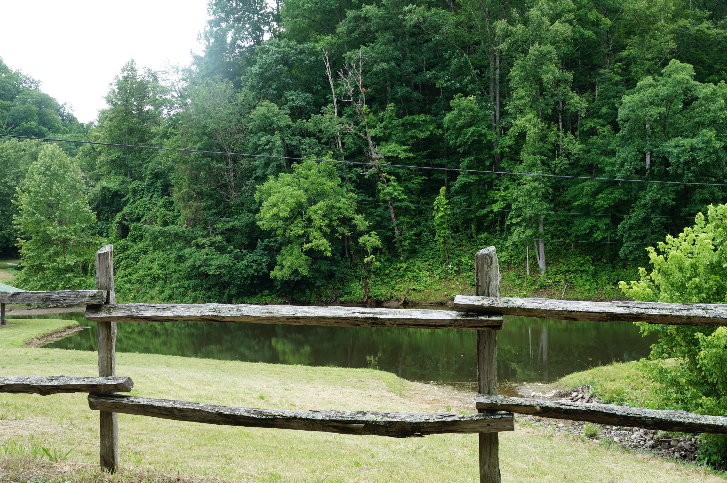 1079 Lower Caney Valley Road Tazewell, TN 37879 - Photo 6 of 17 DSC09261