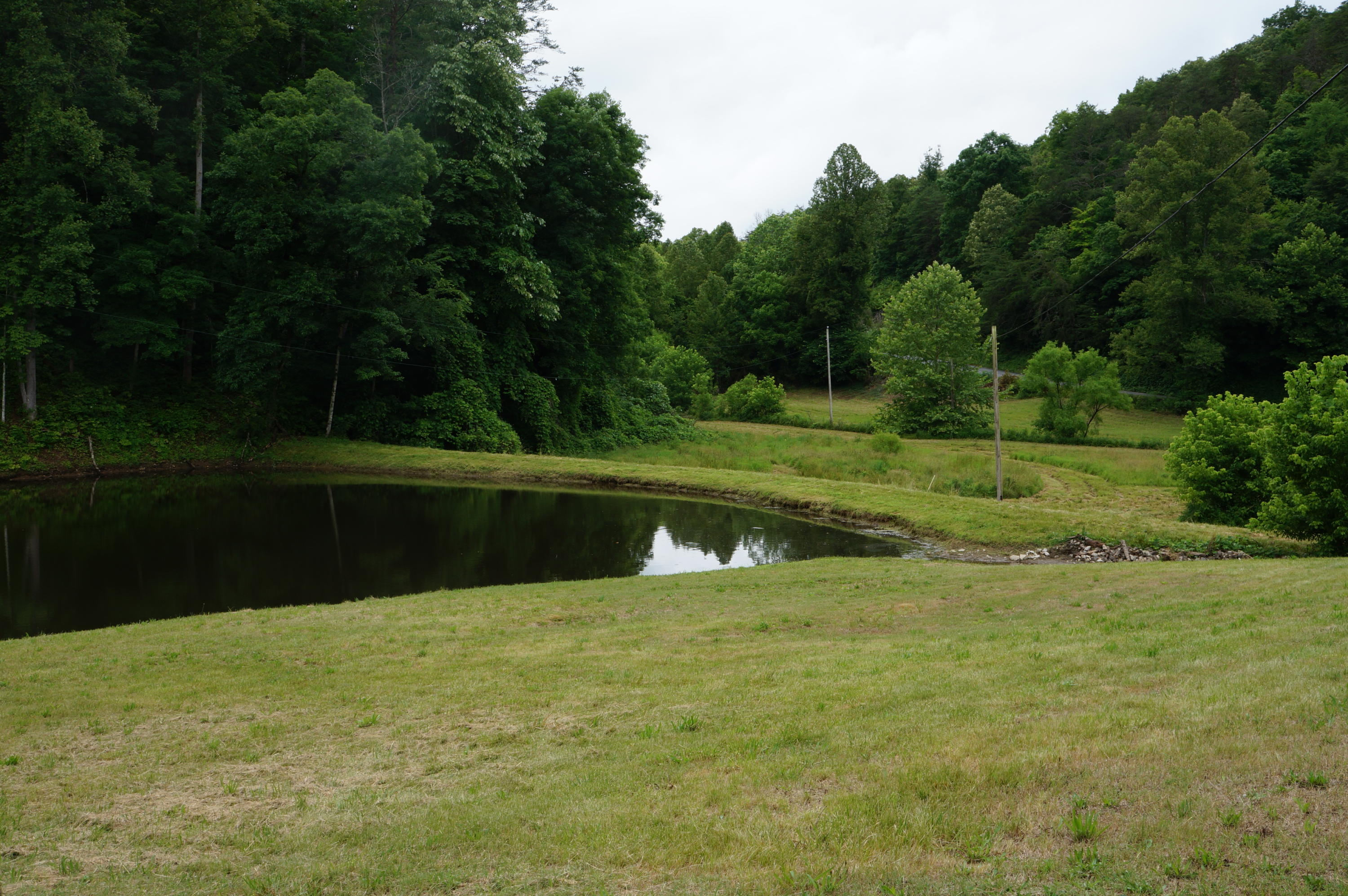 1079 Lower Caney Valley Road Tazewell, TN 37879 - Photo 7 of 17 DSC09262