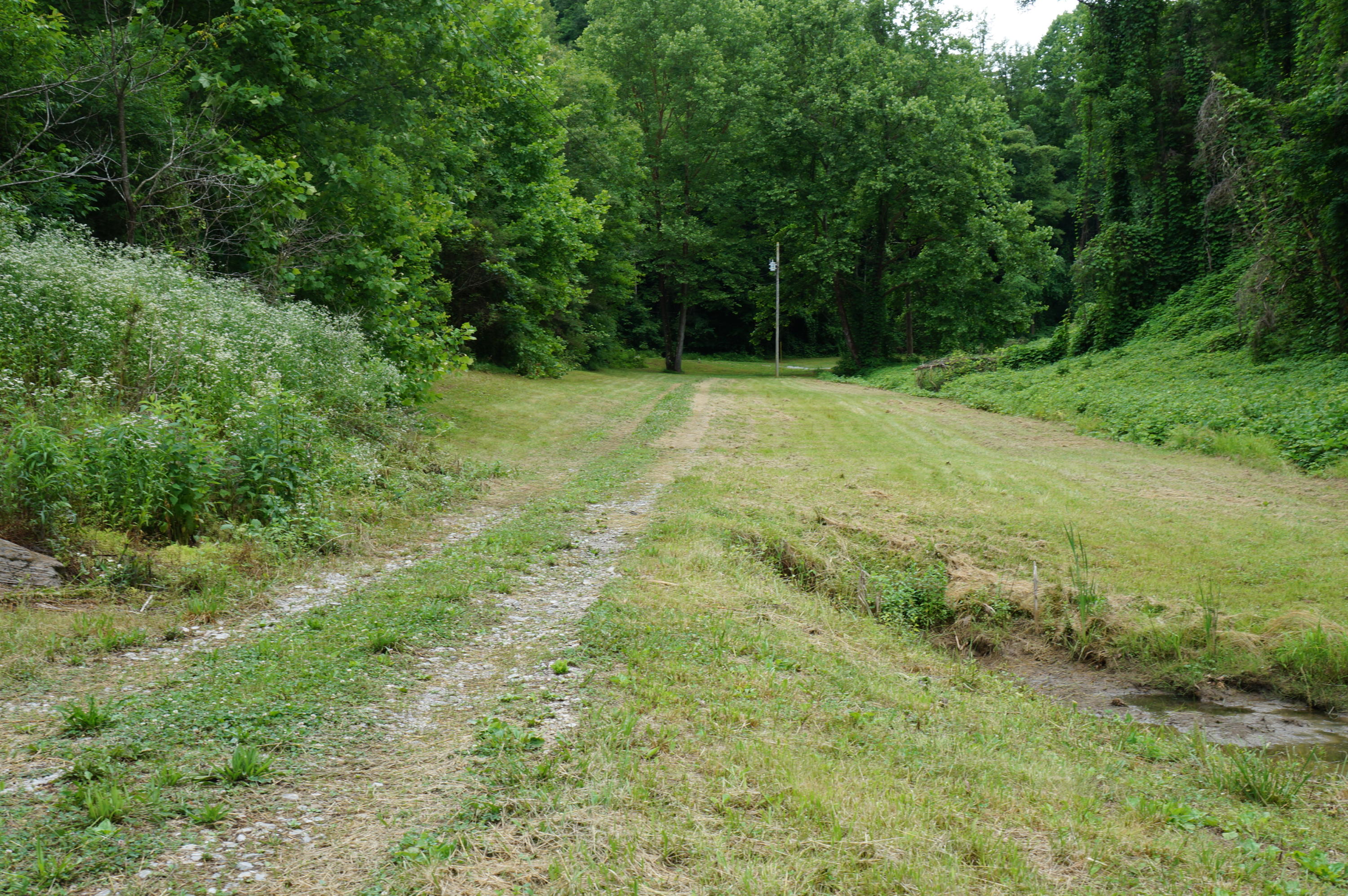 1079 Lower Caney Valley Road Tazewell, TN 37879 - Photo 9 of 17 DSC09264