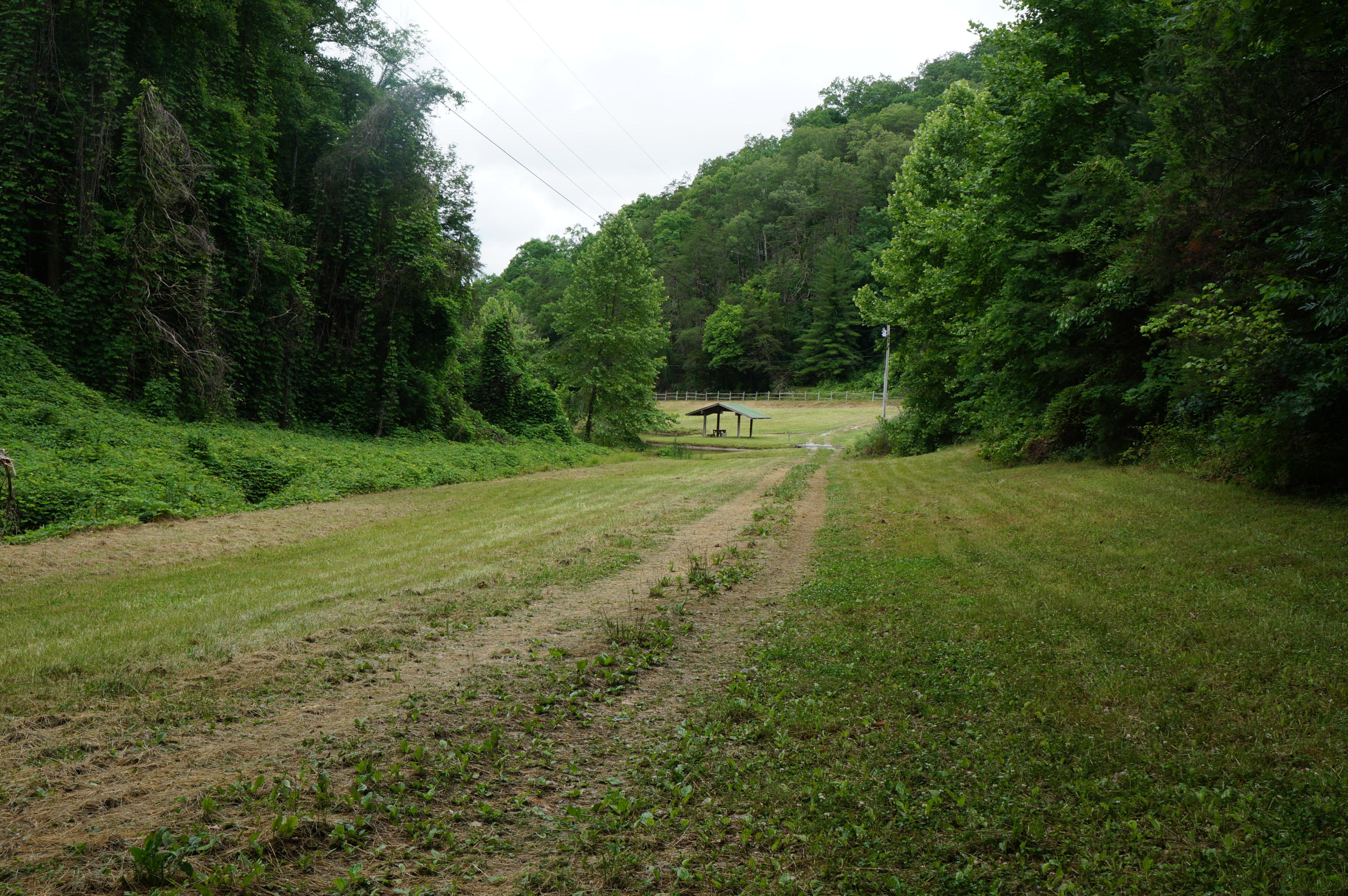 1079 Lower Caney Valley Road Tazewell, TN 37879 - Photo 10 of 17 DSC09265