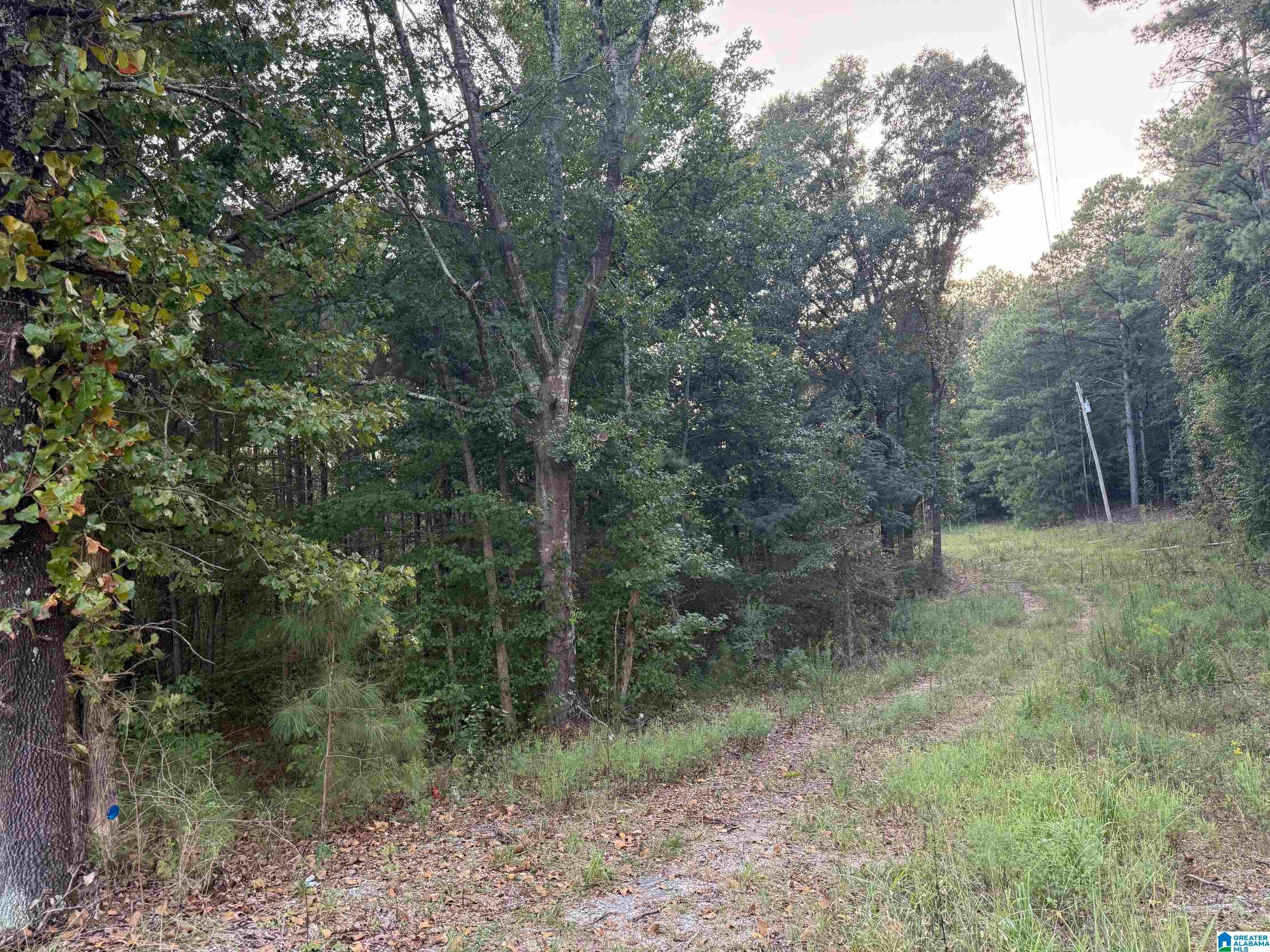 7195 Lou George Loop Bessemer, AL 35022 - Photo 1 of 4 Gallery Image 1