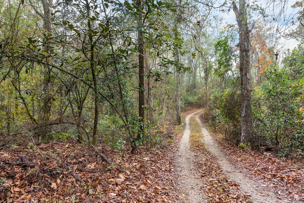 3134 Benton Store Road Columbia, AL 36319 - Photo 46 of 62