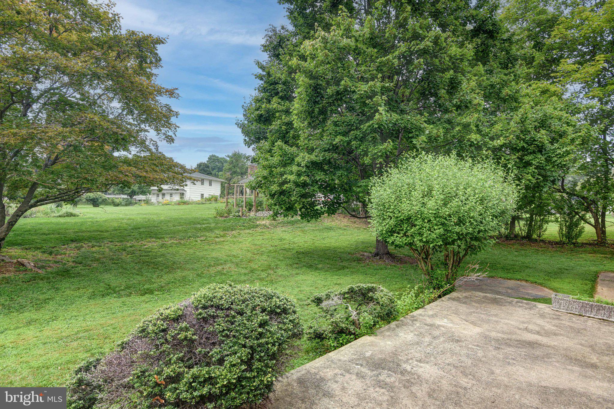 19 Crown Road Trenton, NJ 08638 - Photo 27 of 27 Lush green retreat with serene views.
