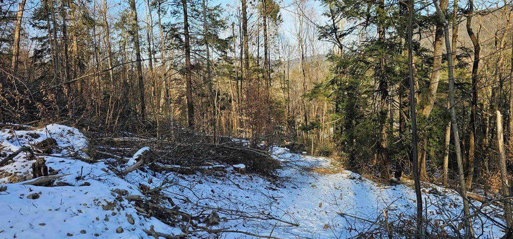 0 Jenkins Road Elmira, NY 14901 - Photo 13 of 25