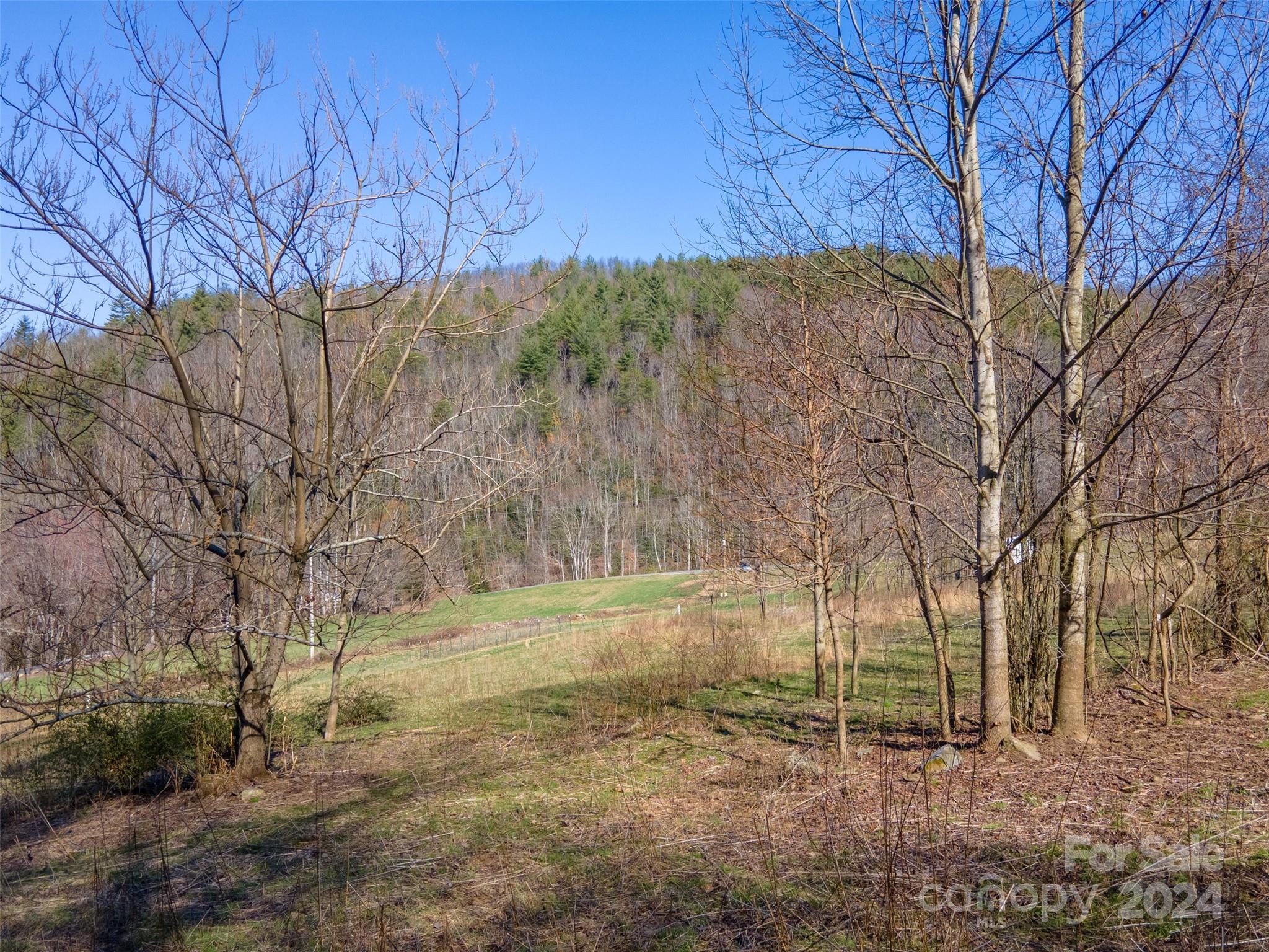 3800 Franks Creek Road Robbinsville, NC 28771 - Photo 11 of 22 a view of backyard with green space