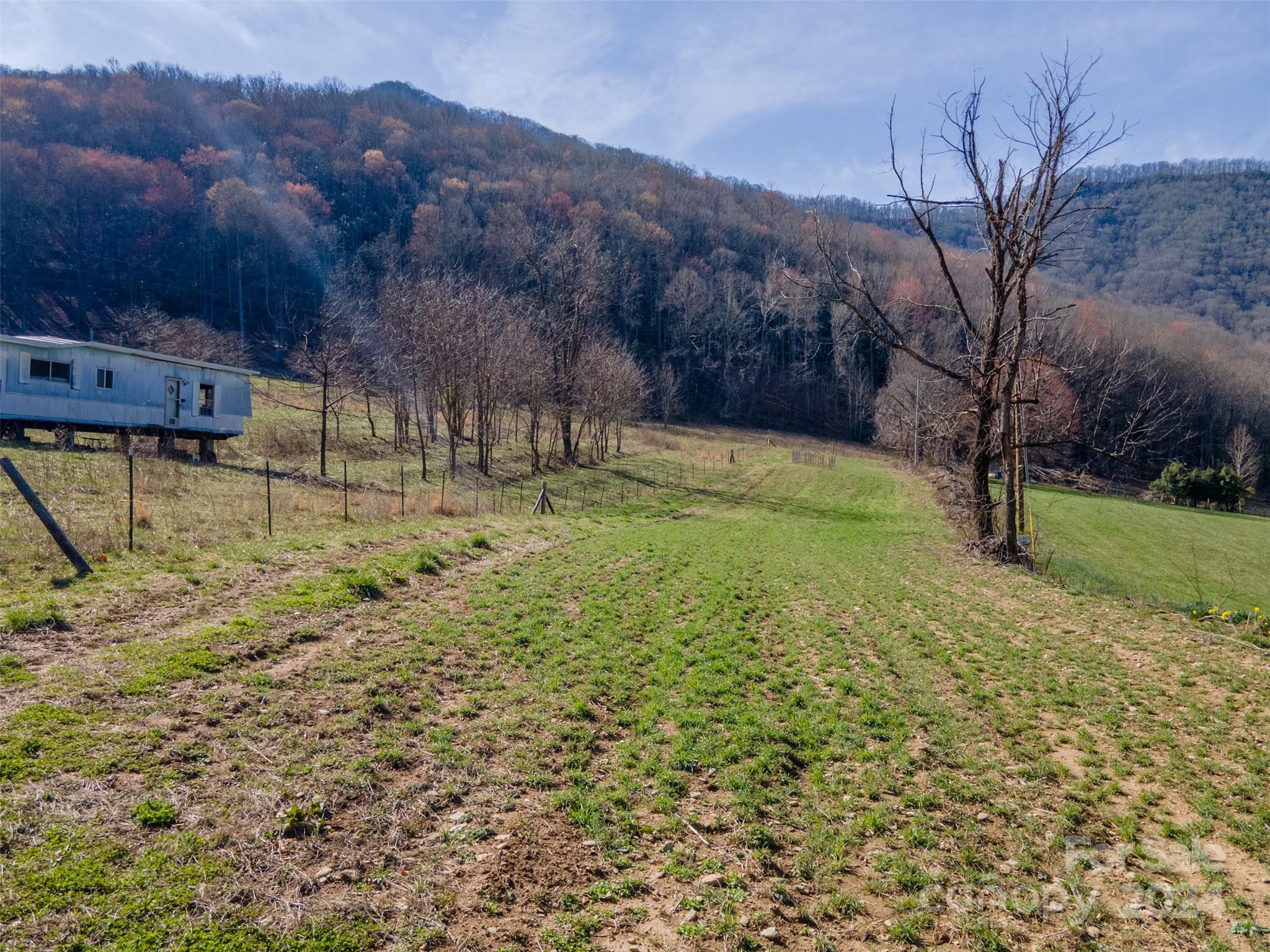3800 Franks Creek Road Robbinsville, NC 28771 - Photo 6 of 22 a backyard of a house with large trees