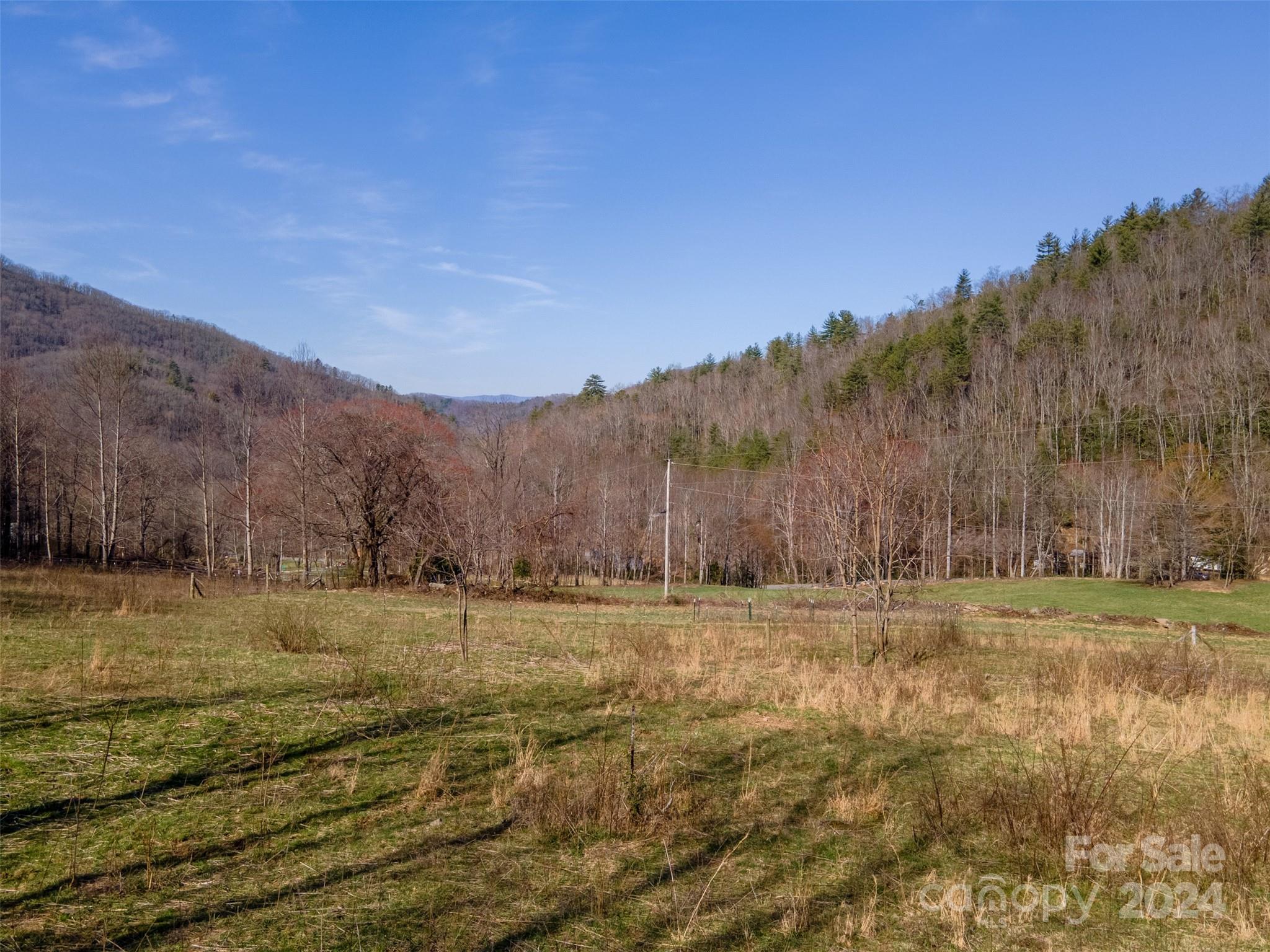 3800 Franks Creek Road Robbinsville, NC 28771 - Photo 9 of 22 a view of a field with trees in background