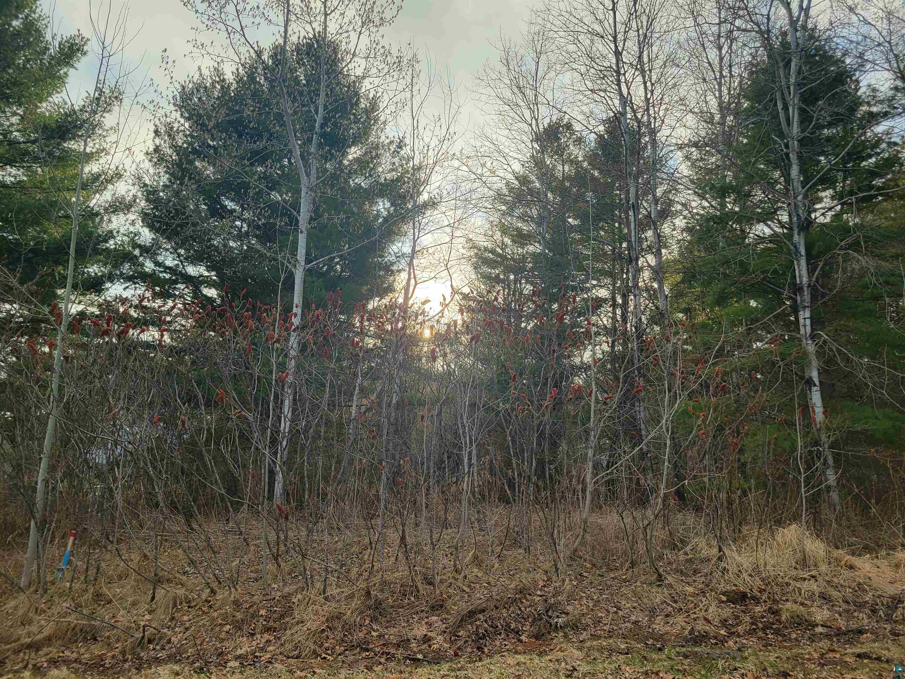 North 2nd Street Bayfield, WI 54814 - Photo 5 of 7 View of landscape