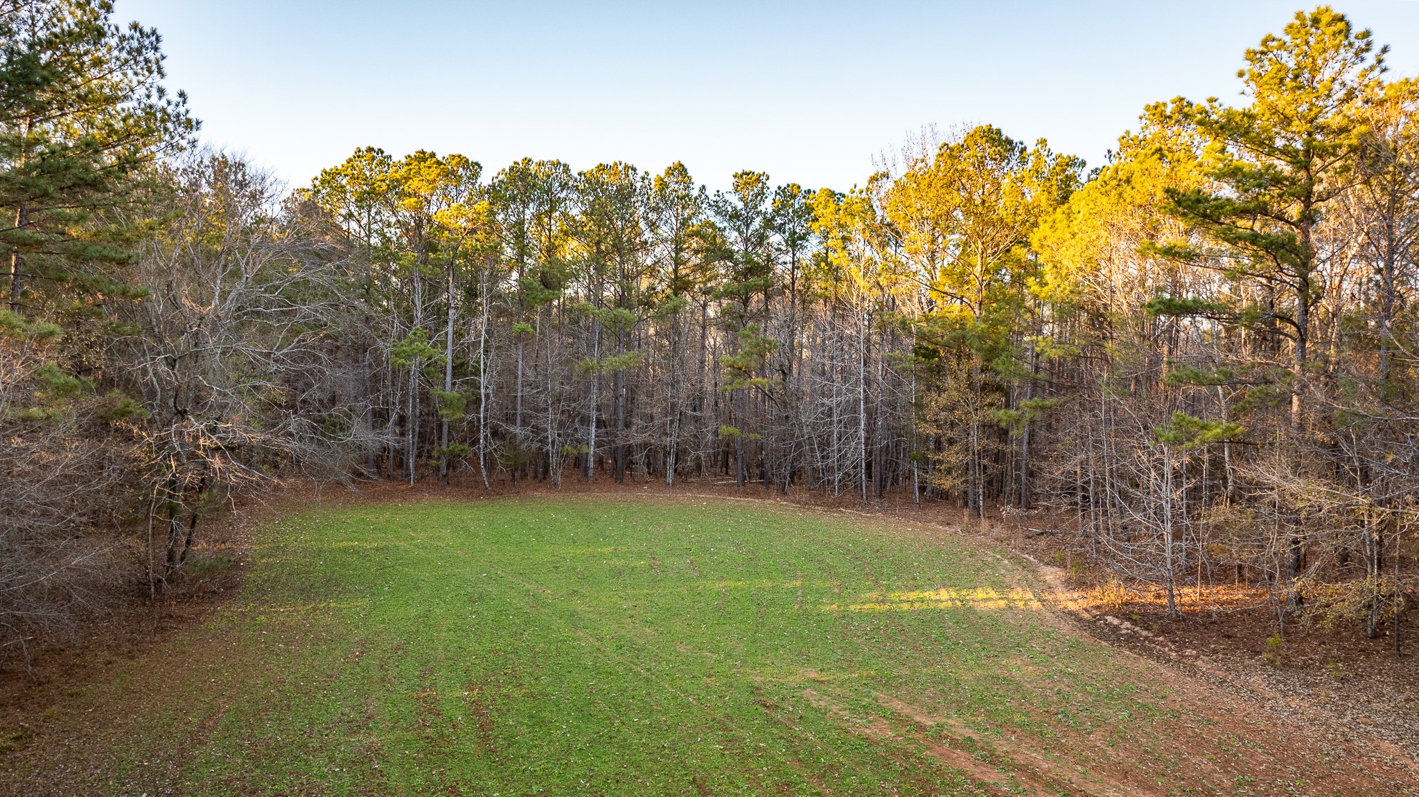 8548 Elberton Road Tignall, GA 30668 - Photo 21 of 50 a view of a field with trees in the background