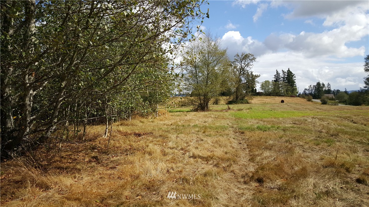 740 East Axton Road Bellingham, WA 98226 - Photo 2 of 6