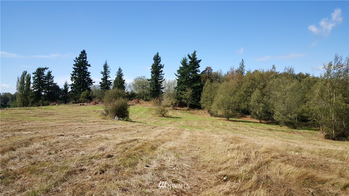 740 East Axton Road Bellingham, WA 98226 - Photo 5 of 6