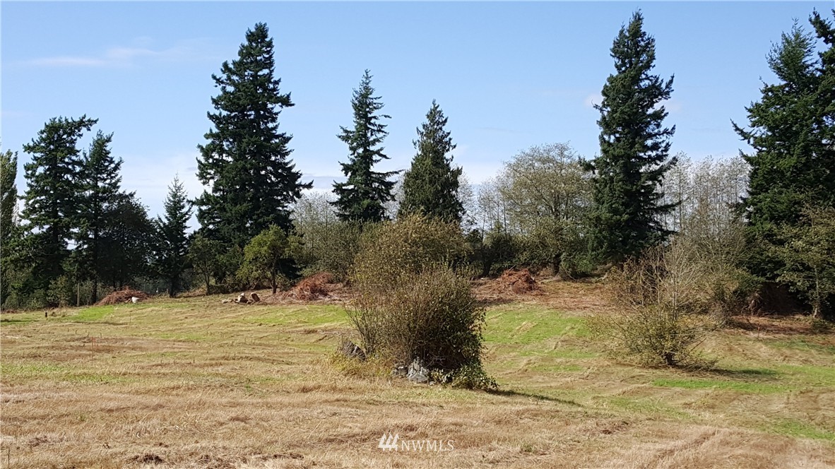 740 East Axton Road Bellingham, WA 98226 - Photo 6 of 6