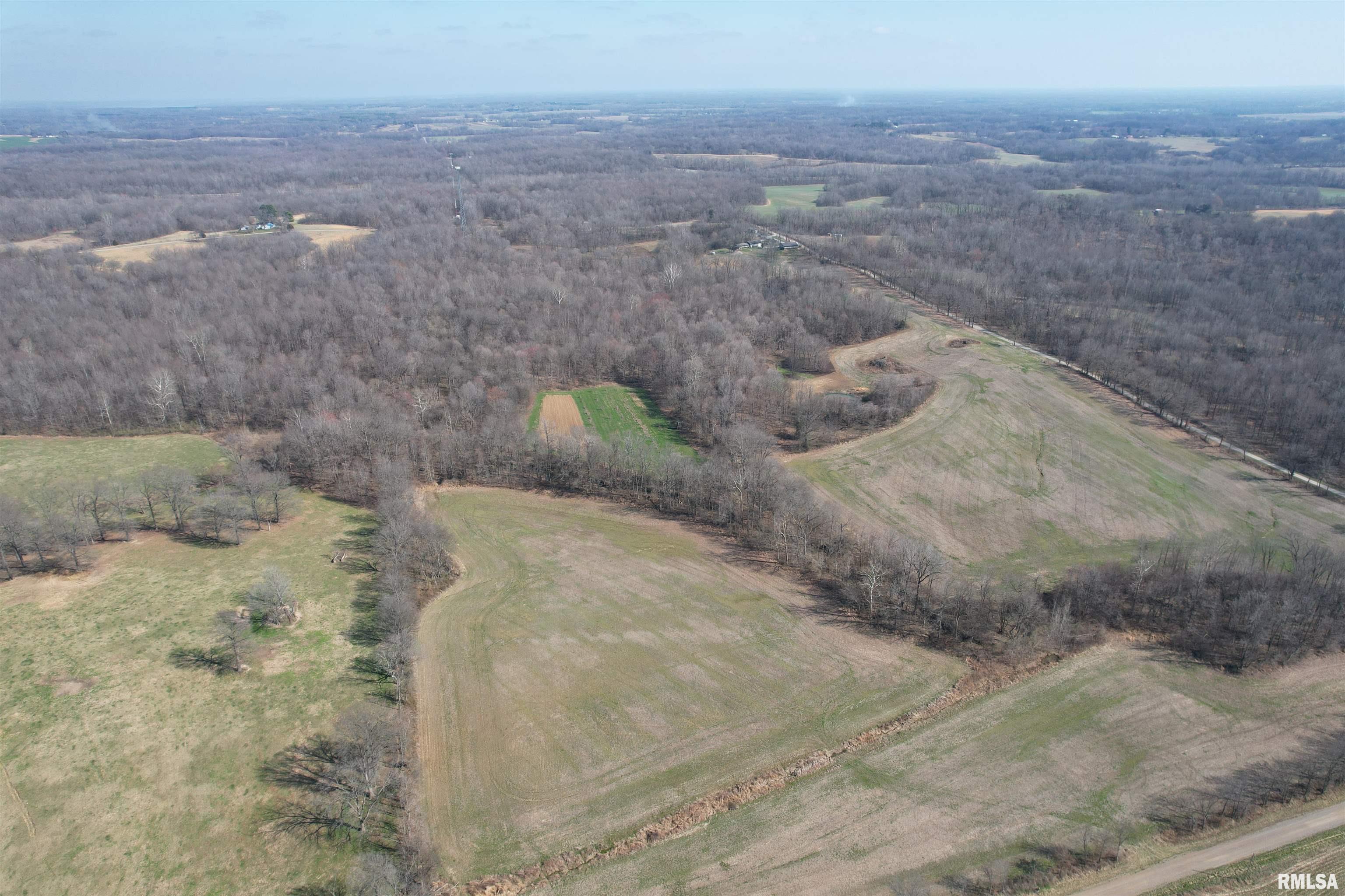 1003 Waite Road Villa Ridge, IL 62996 - Photo 36 of 61
