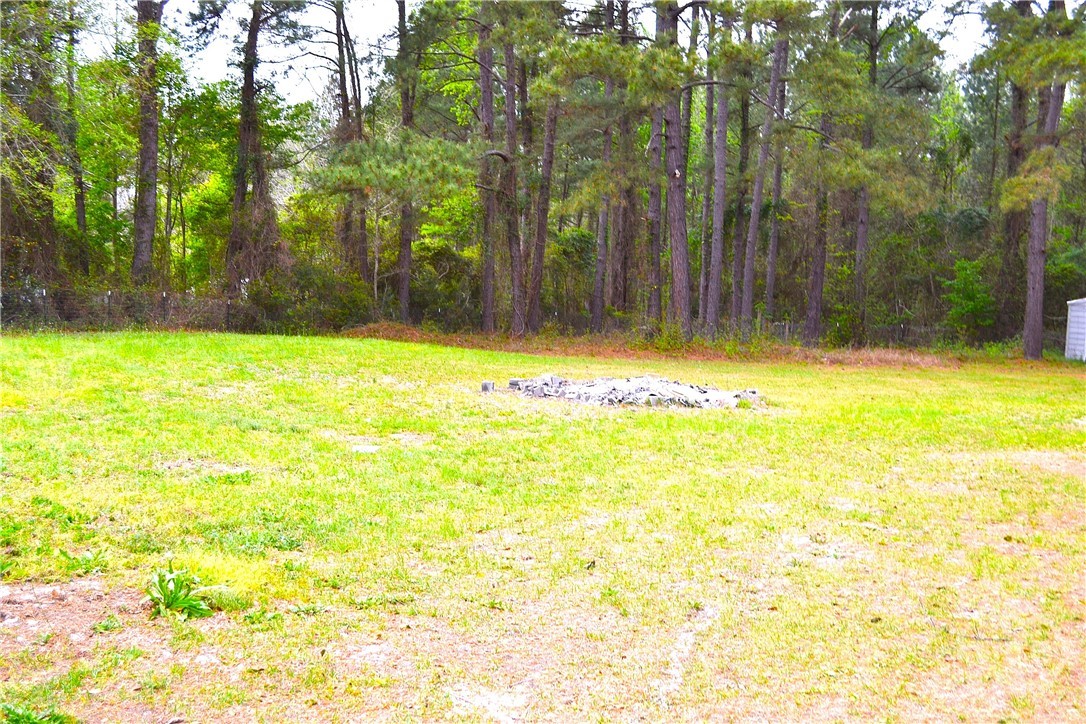 343 Whitaker Road Clyo, GA 31303 - Photo 5 of 16 Backyard