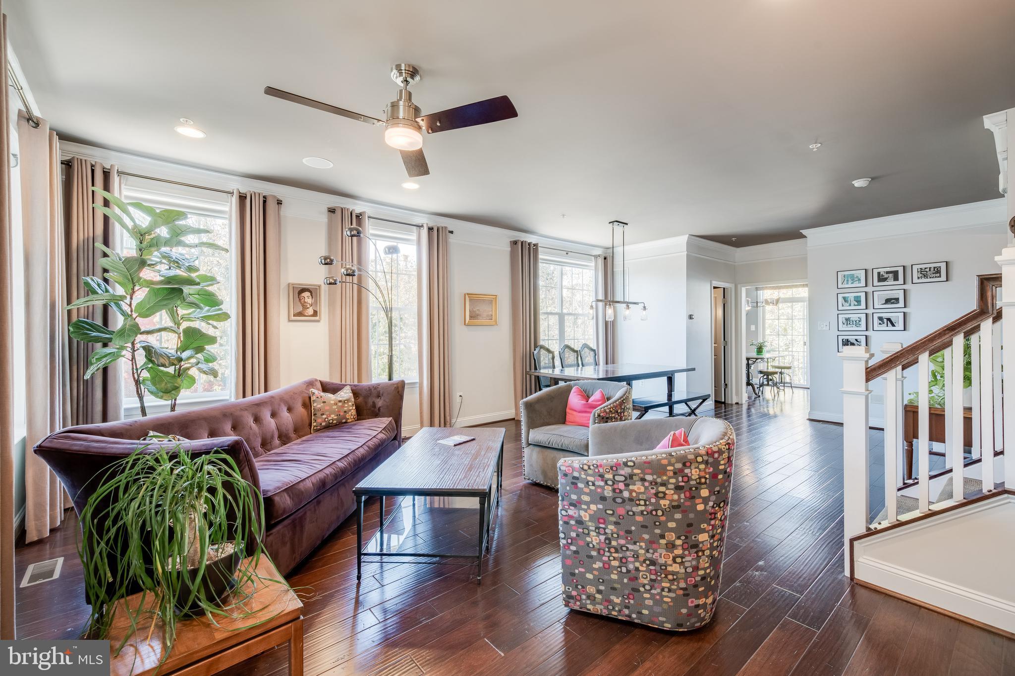 51 Linden Place Towson, MD 21286 - Photo 3 of 23 Living Room w/Custom Window Treatments