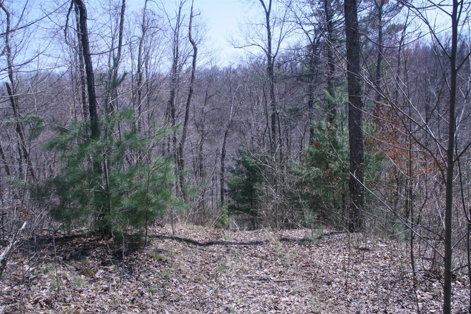 956 Kelse Holland Road Campton, KY 41301 - Photo 41 of 69 Photo 67