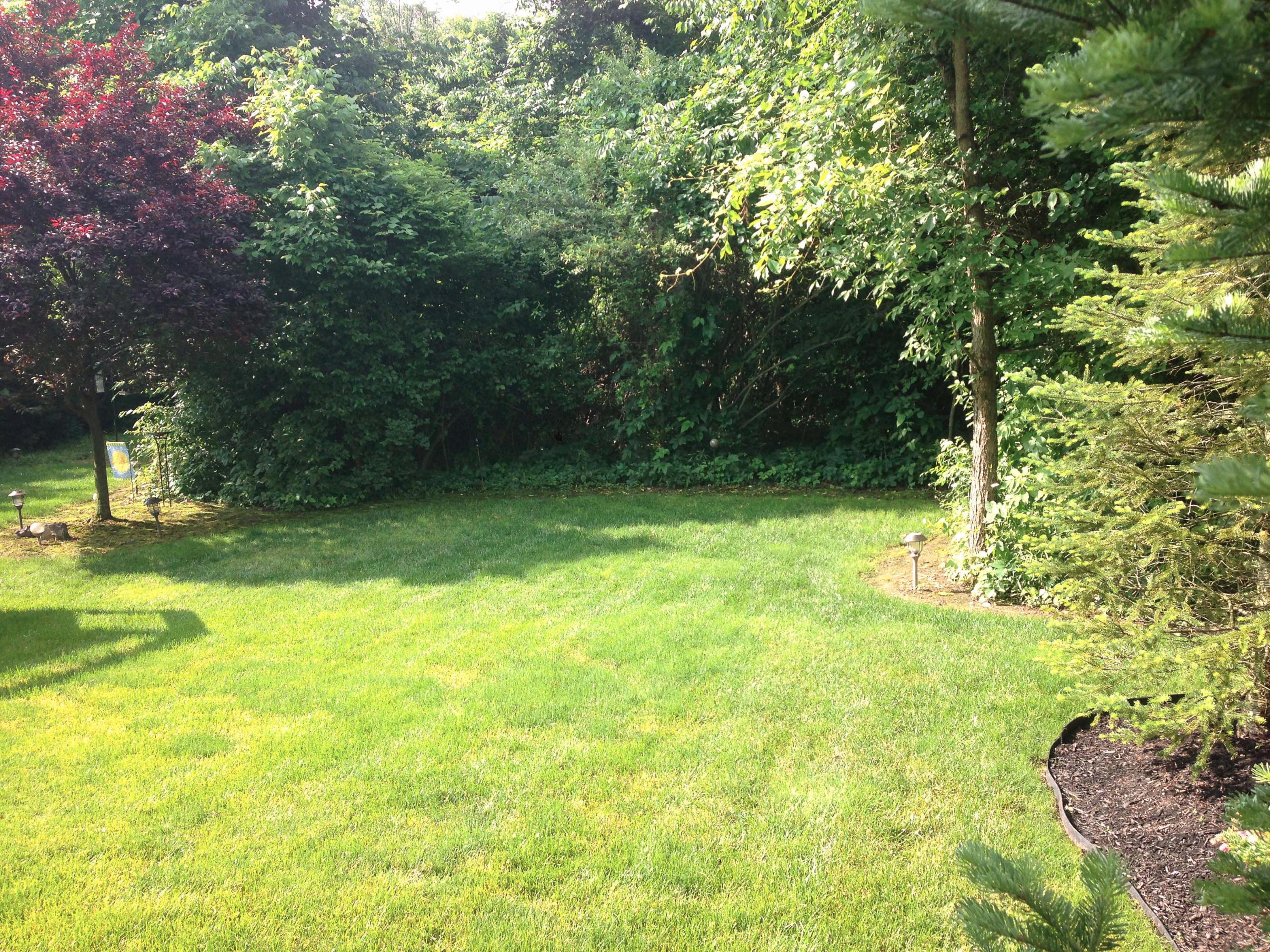 261 Halverston Road Powell, OH 43065 - Photo 30 of 32 Gallery Image 30