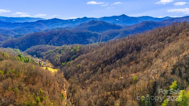 a view of a forest with mountains in the background