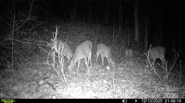 $133,830 | Tbd Tbd Lost Hollow Road, Burnsville, NC 28714