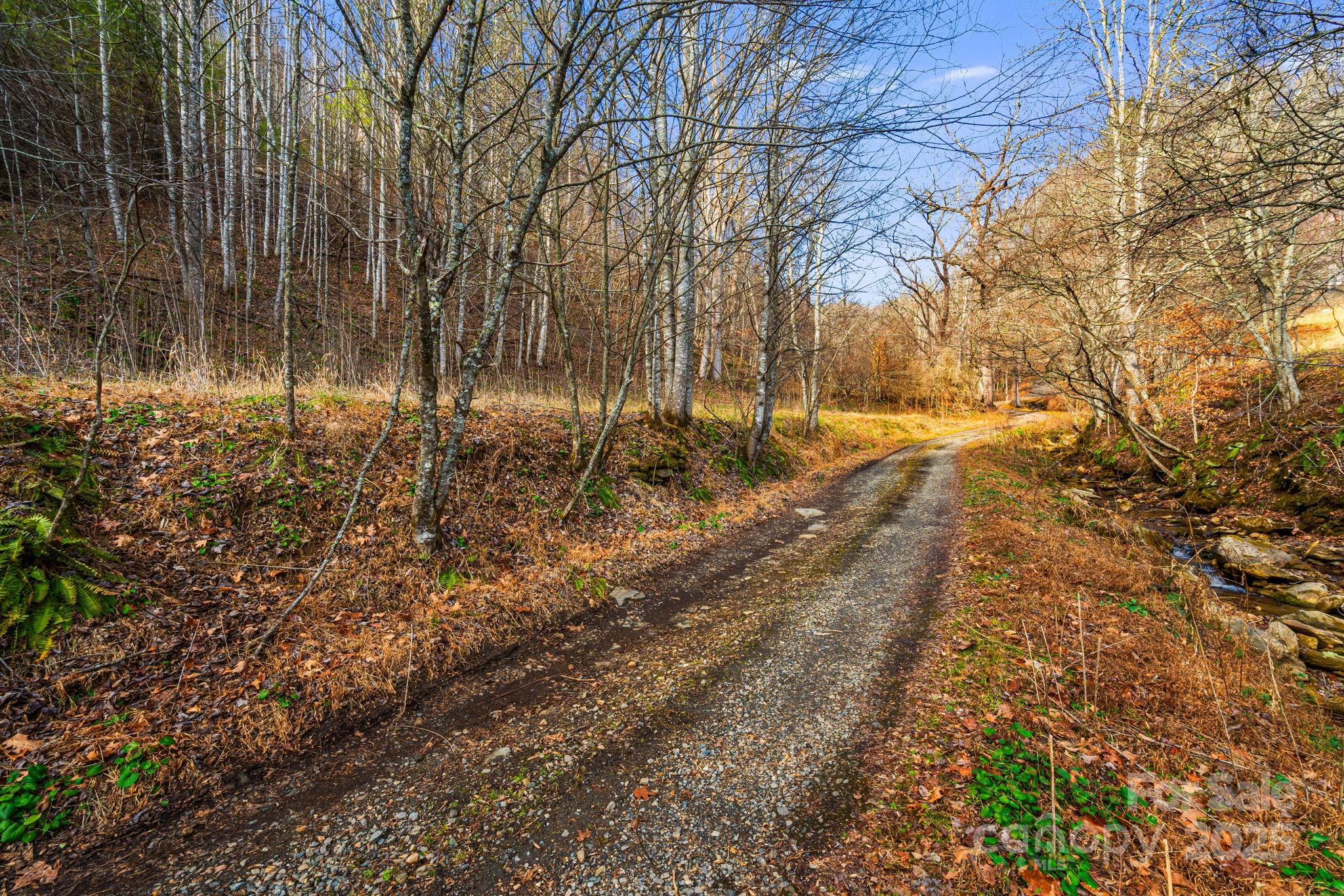 Tbd Tbd Lost Hollow Road Burnsville, NC 28714 - Photo 5 of 24 a view of a yard with trees