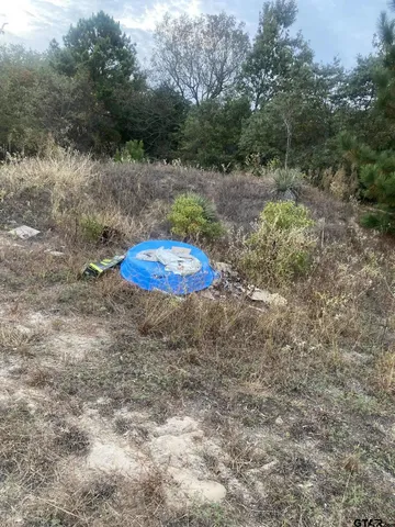 $350,000 | 112 County Road 4716, Ben Wheeler, TX 75754