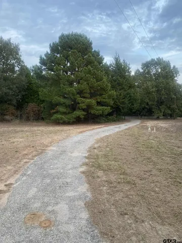 $350,000 | 112 County Road 4716, Ben Wheeler, TX 75754